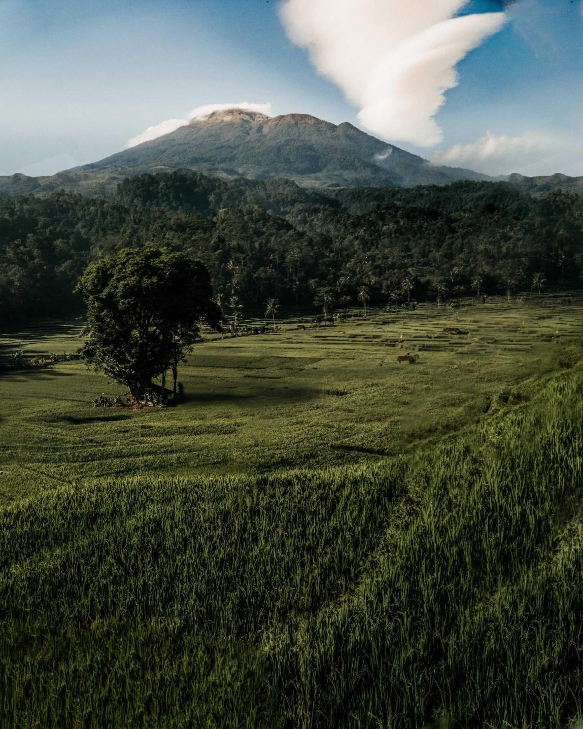 Nearby landmark in Arcada Bali Bamboo House