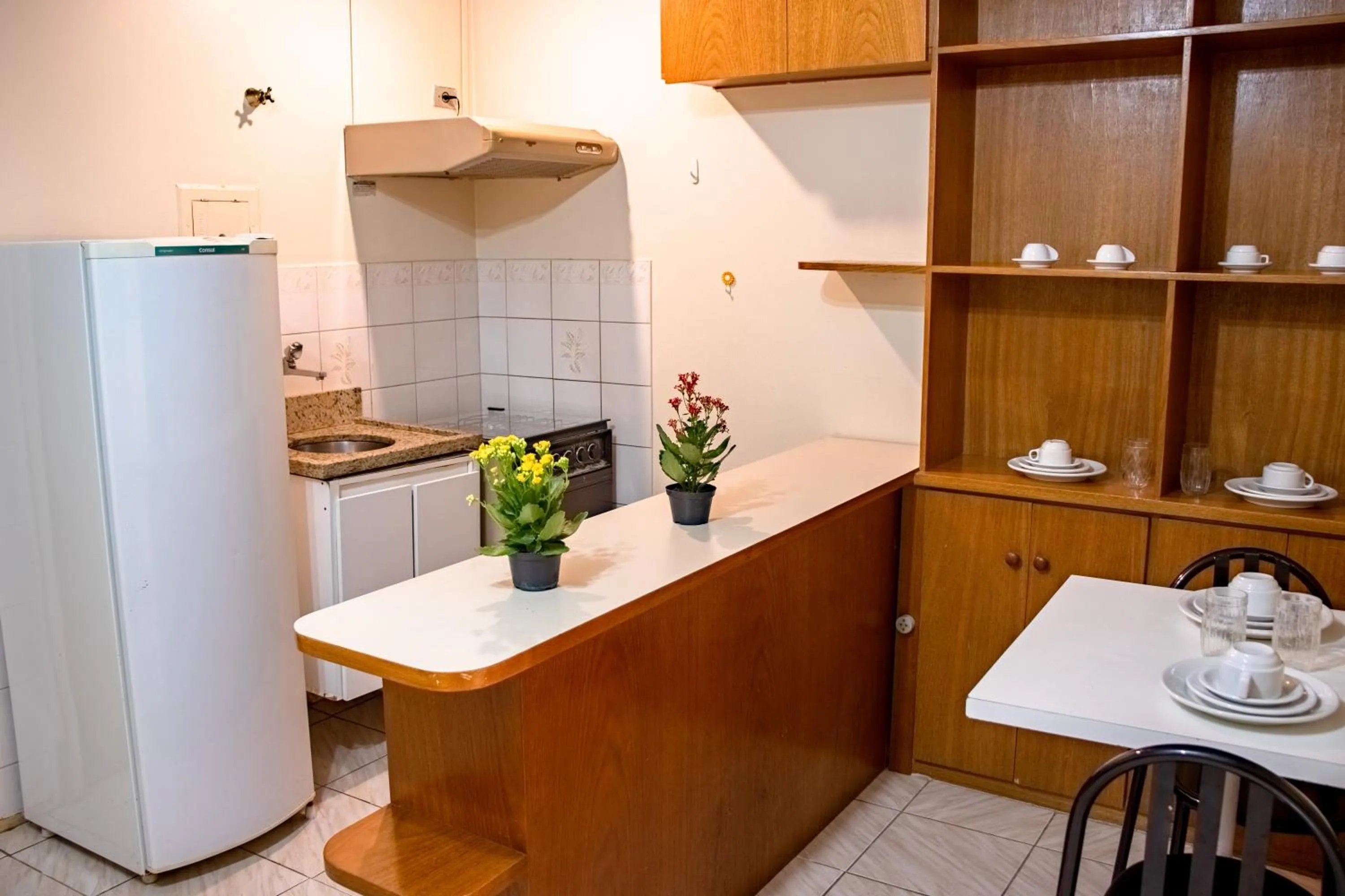 Kitchen or kitchenette in Residencial Genéve