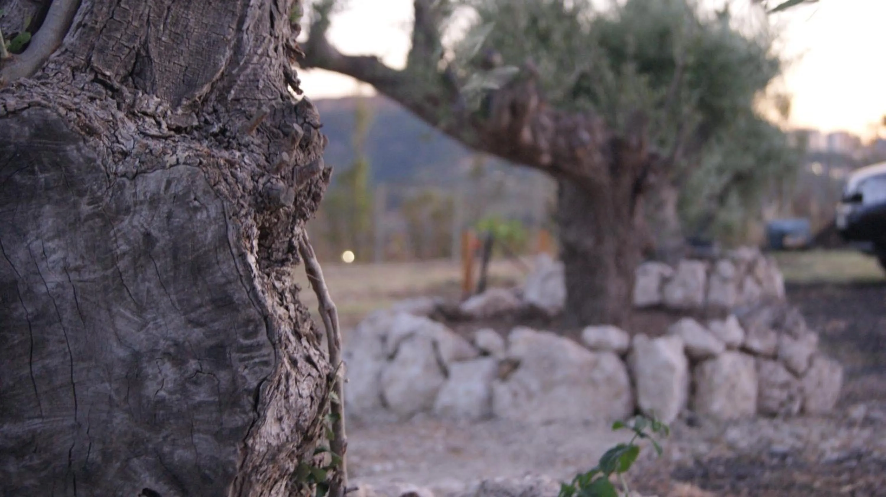 Natural landscape in B&B Eyexei Domus