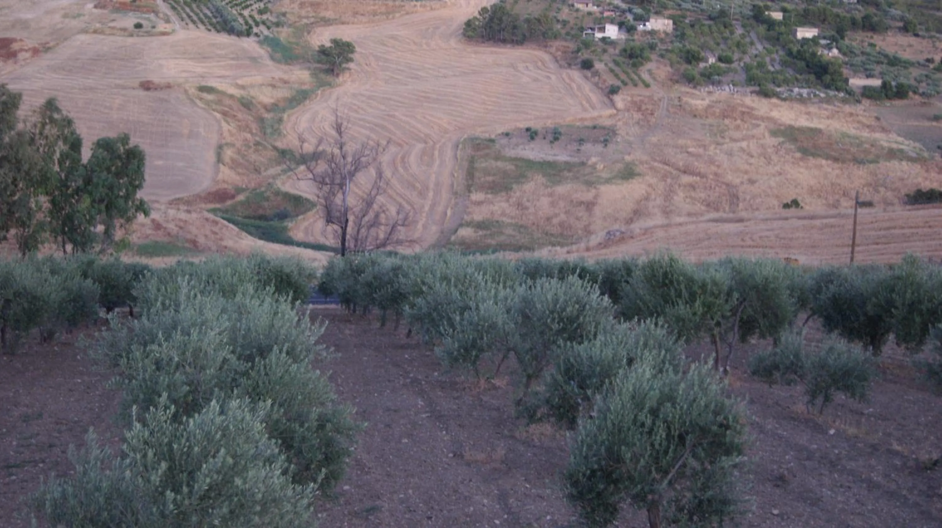 Natural landscape in B&B Eyexei Domus