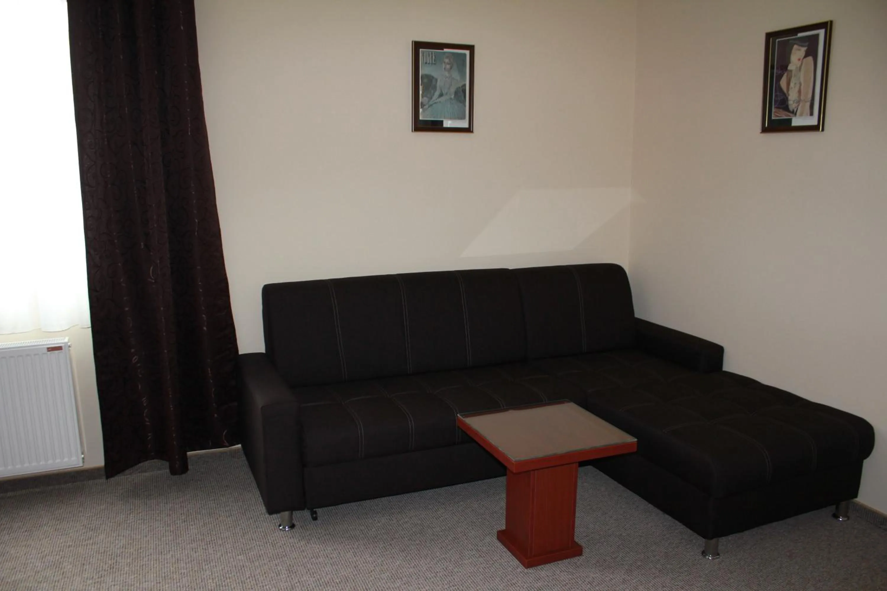 Hotel Feniks Požarevac