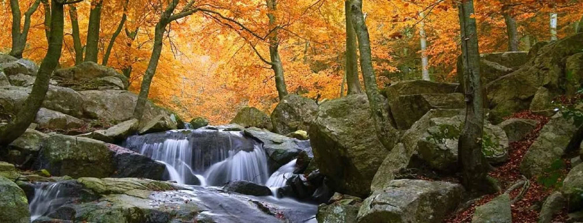 Property building in Hostal Montsoliu