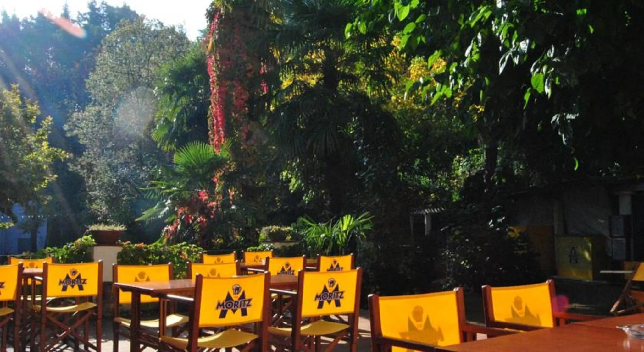 Garden in Hostal Montsoliu