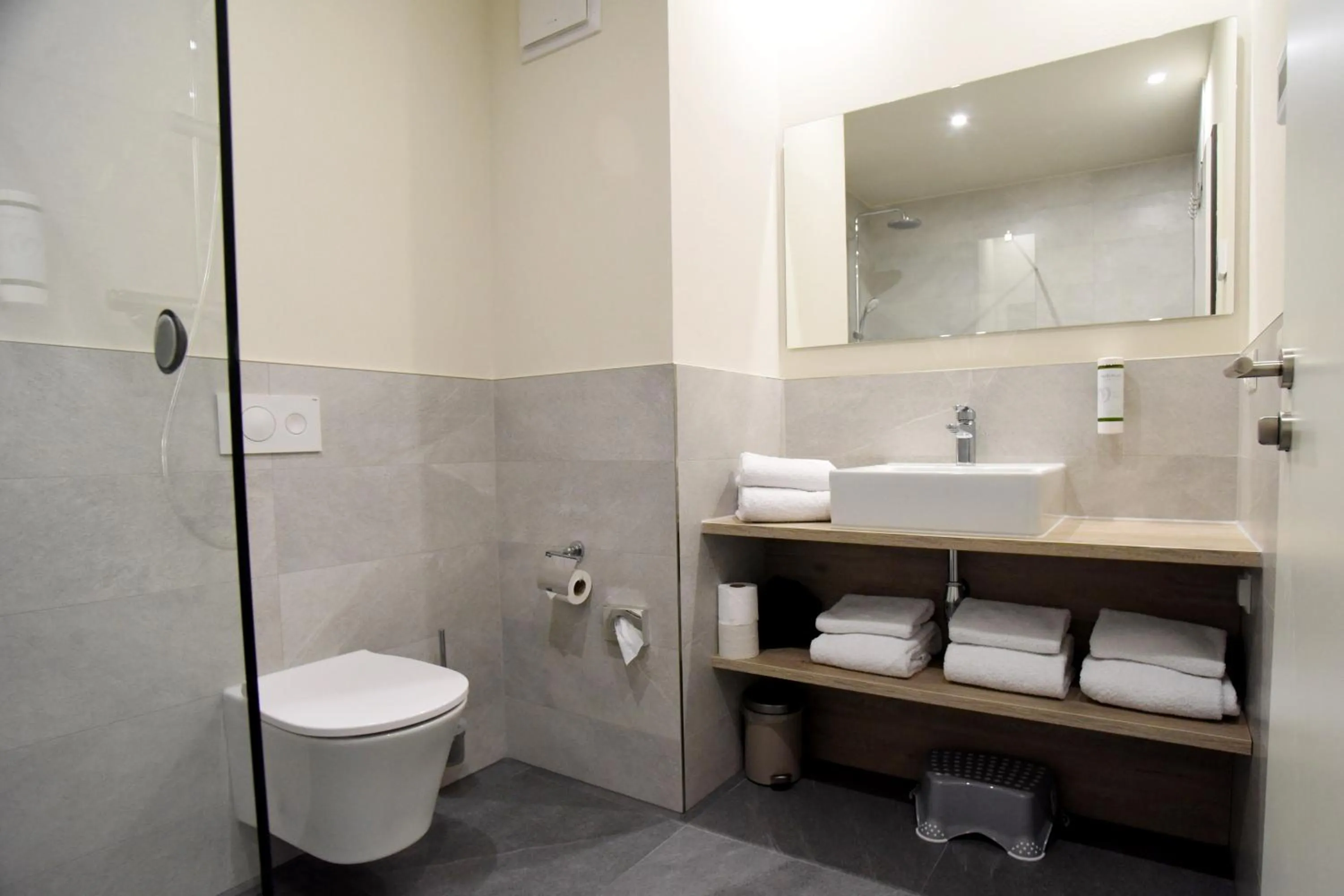 Shower in DiMas Hotel Ettenheim - Rust