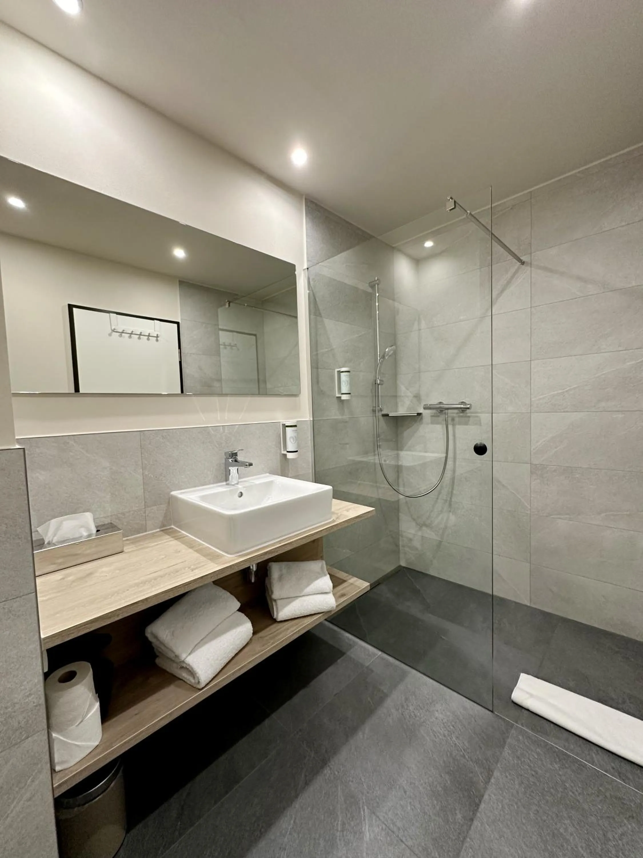 Shower in DiMas Hotel Ettenheim - Rust