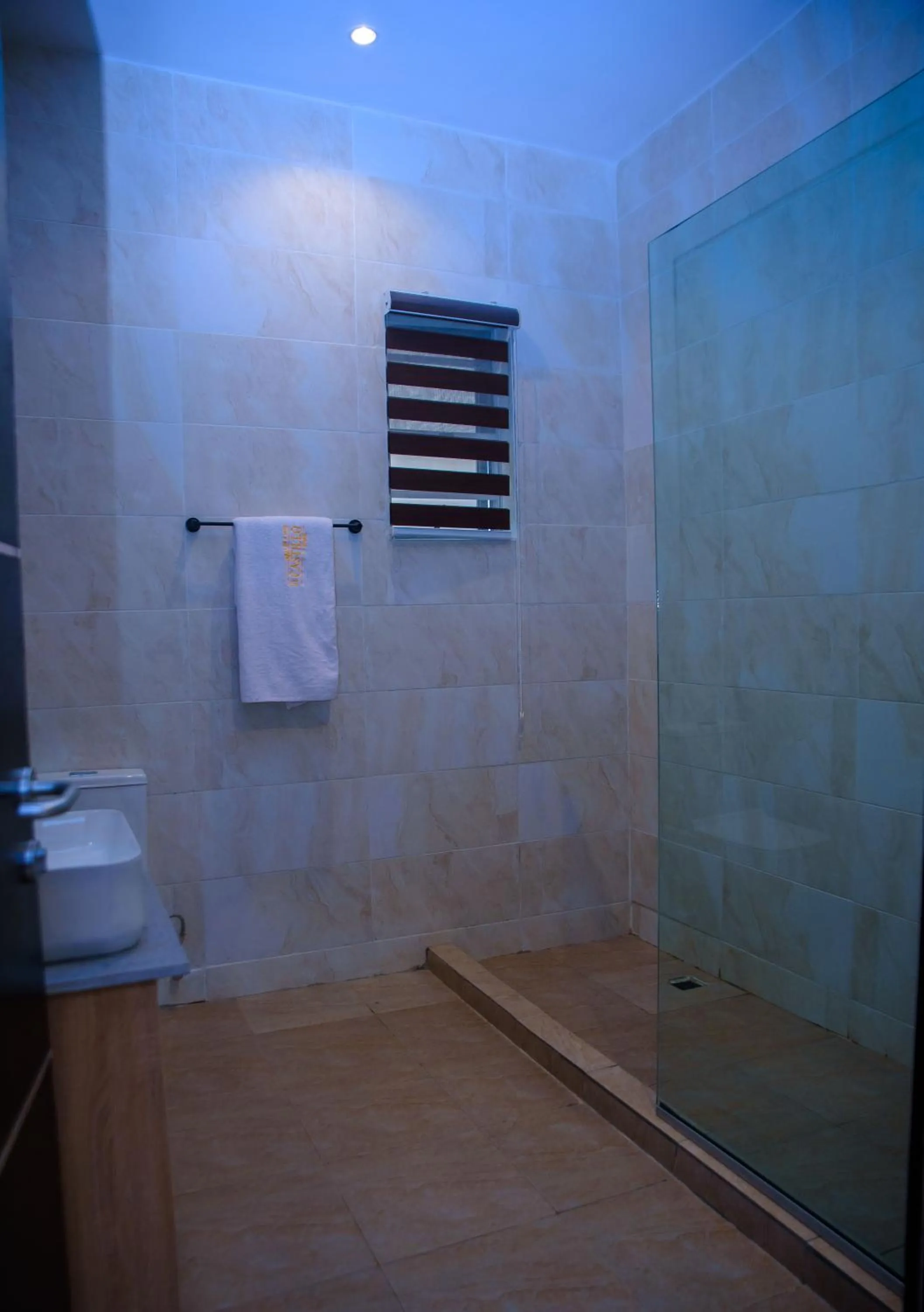Shower in Elcastillo Homes