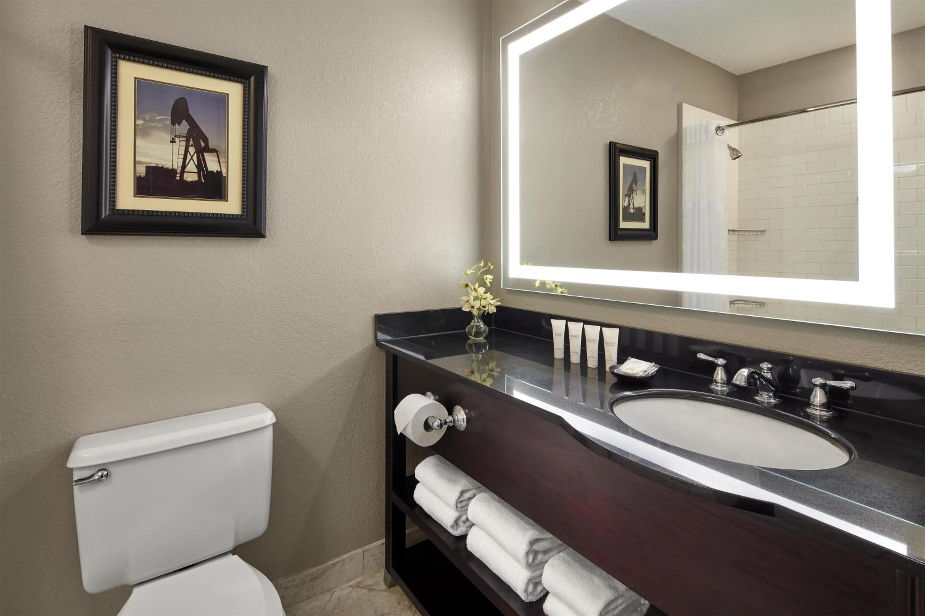 Bathroom in Hyatt Regency Tulsa Downtown