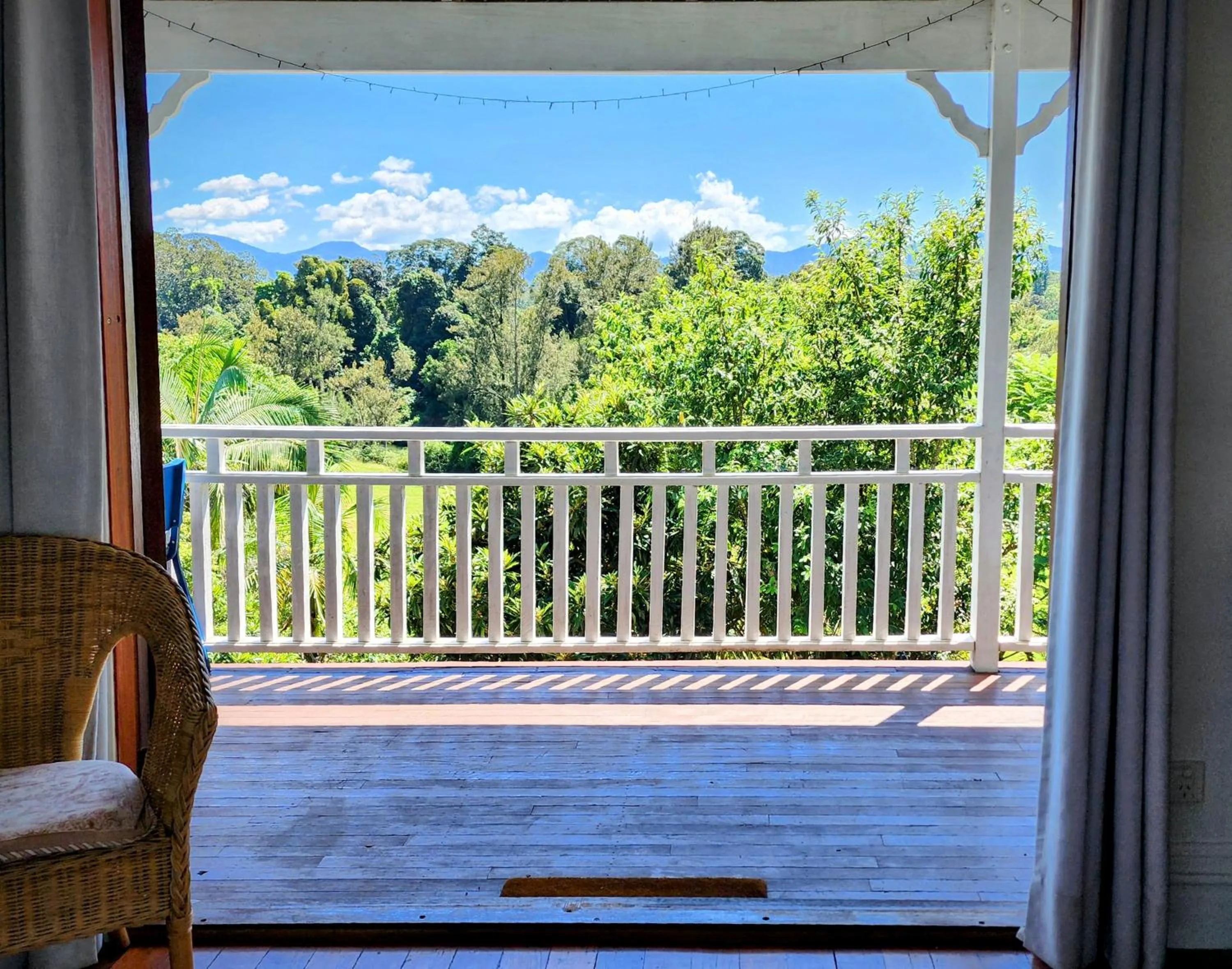 Mountain view in Bellingen Belfry Guesthouse