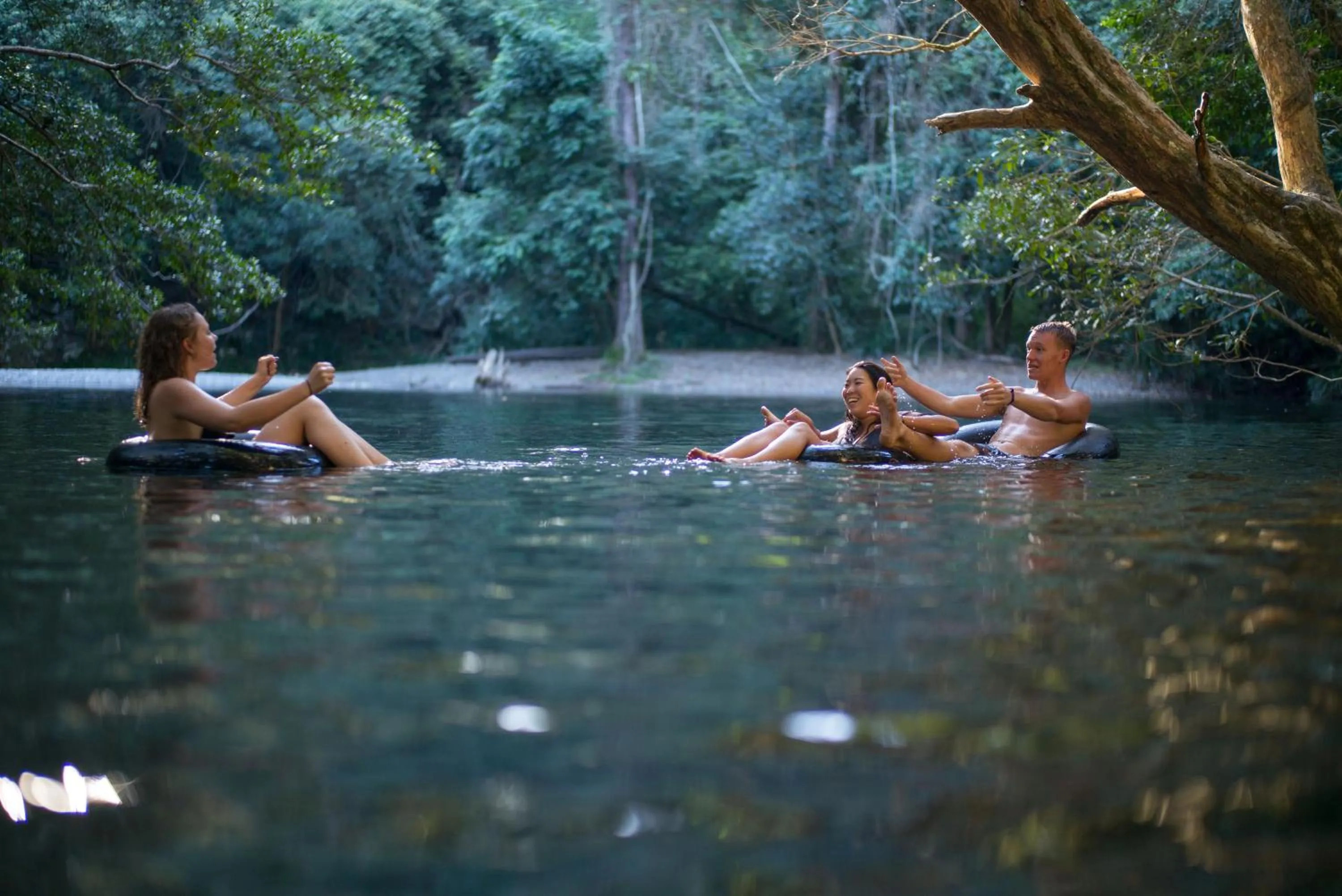 People in Bellingen Belfry Guesthouse