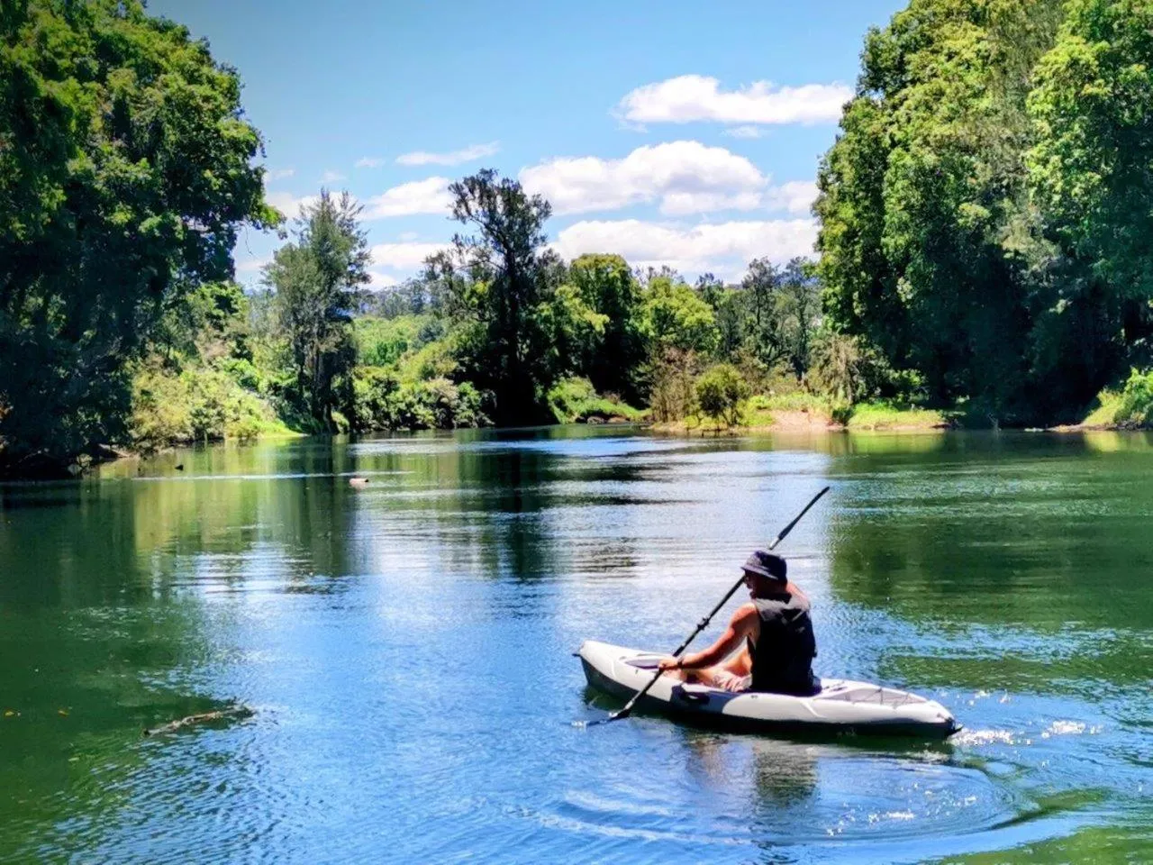 Natural landscape in Bellingen Belfry Guesthouse