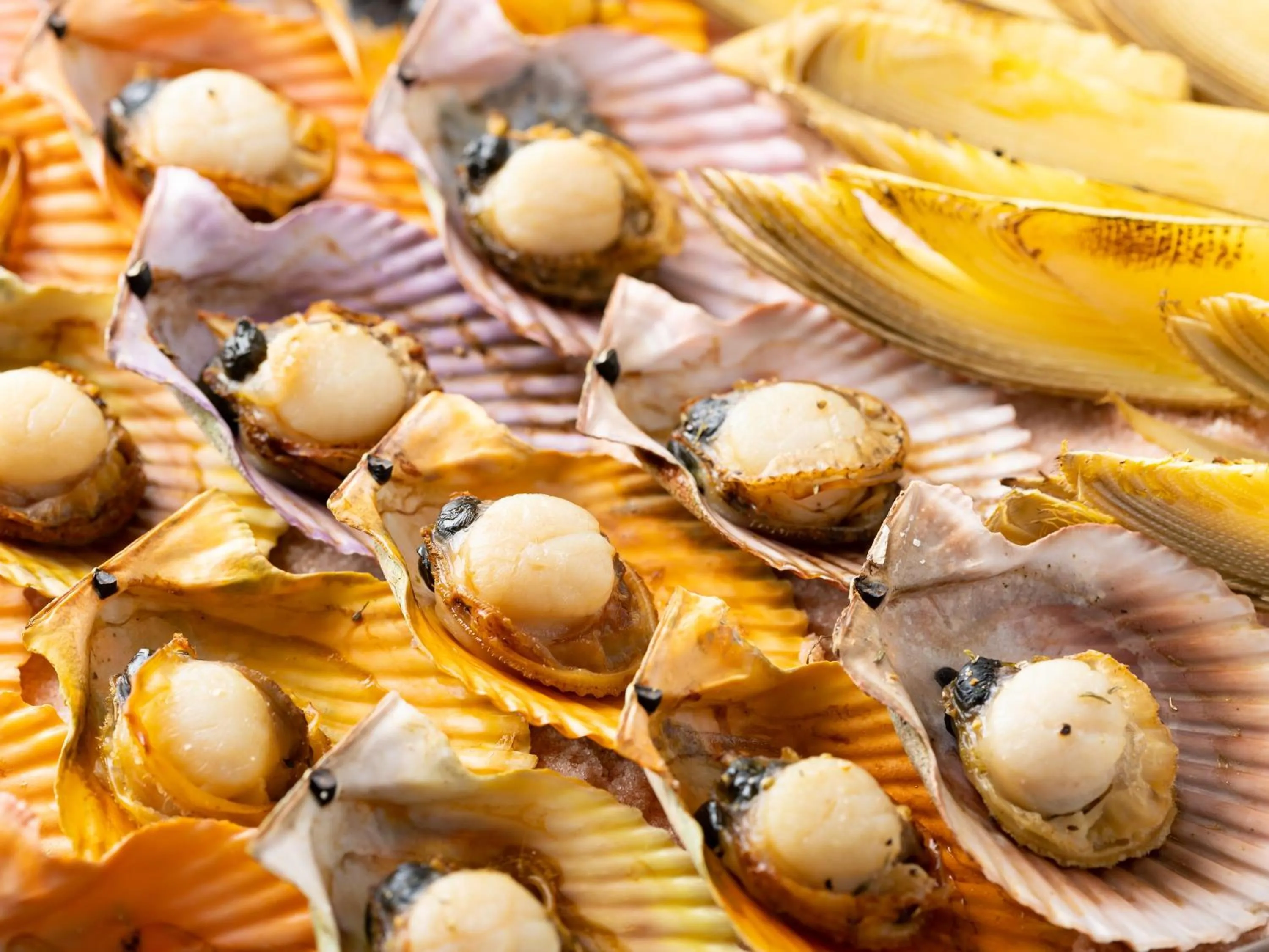 Food and drinks in Spa and Resort Hotel Solage Oita Hiji Beppuwan