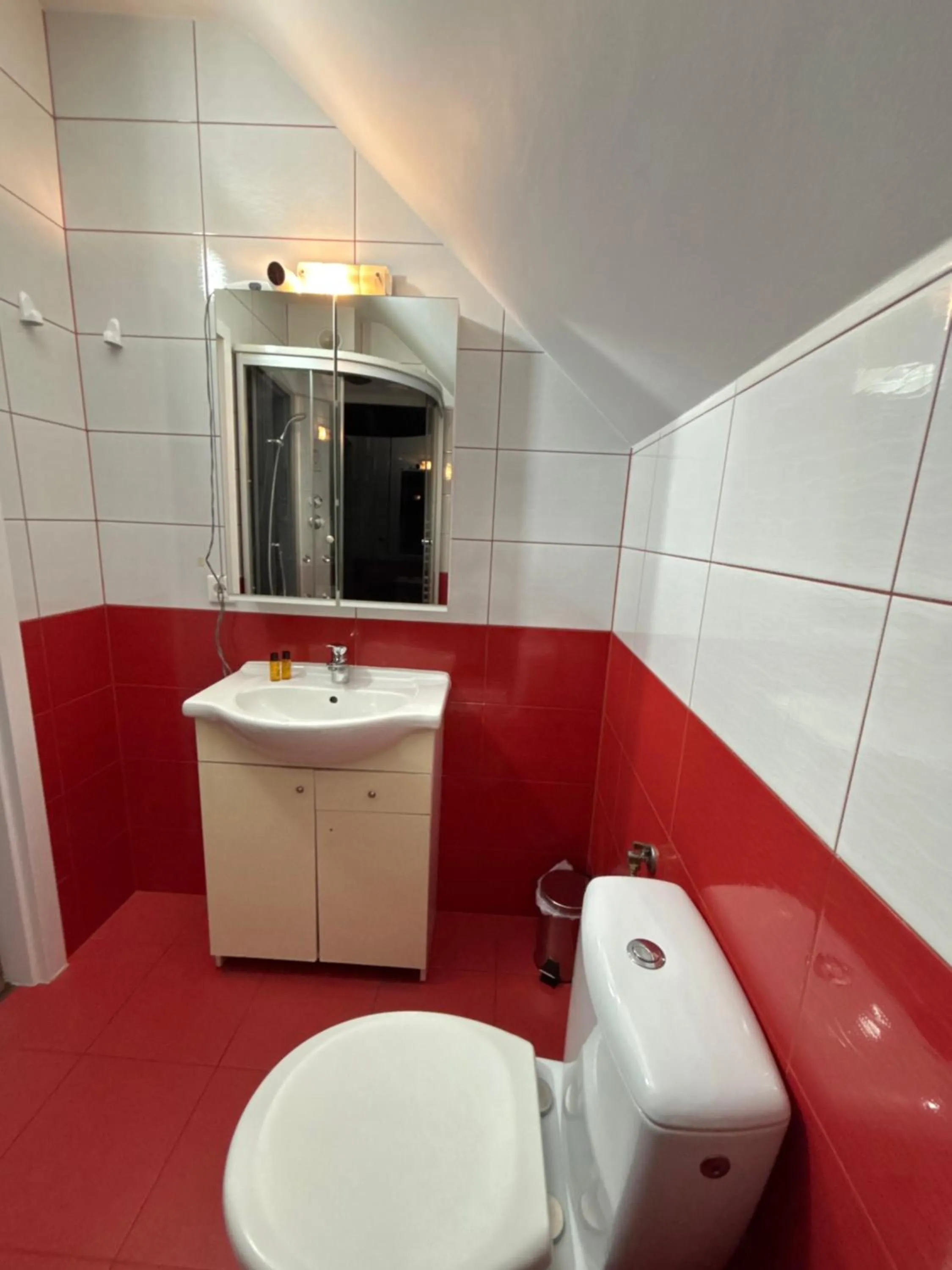 Toilet in Villa Victoria