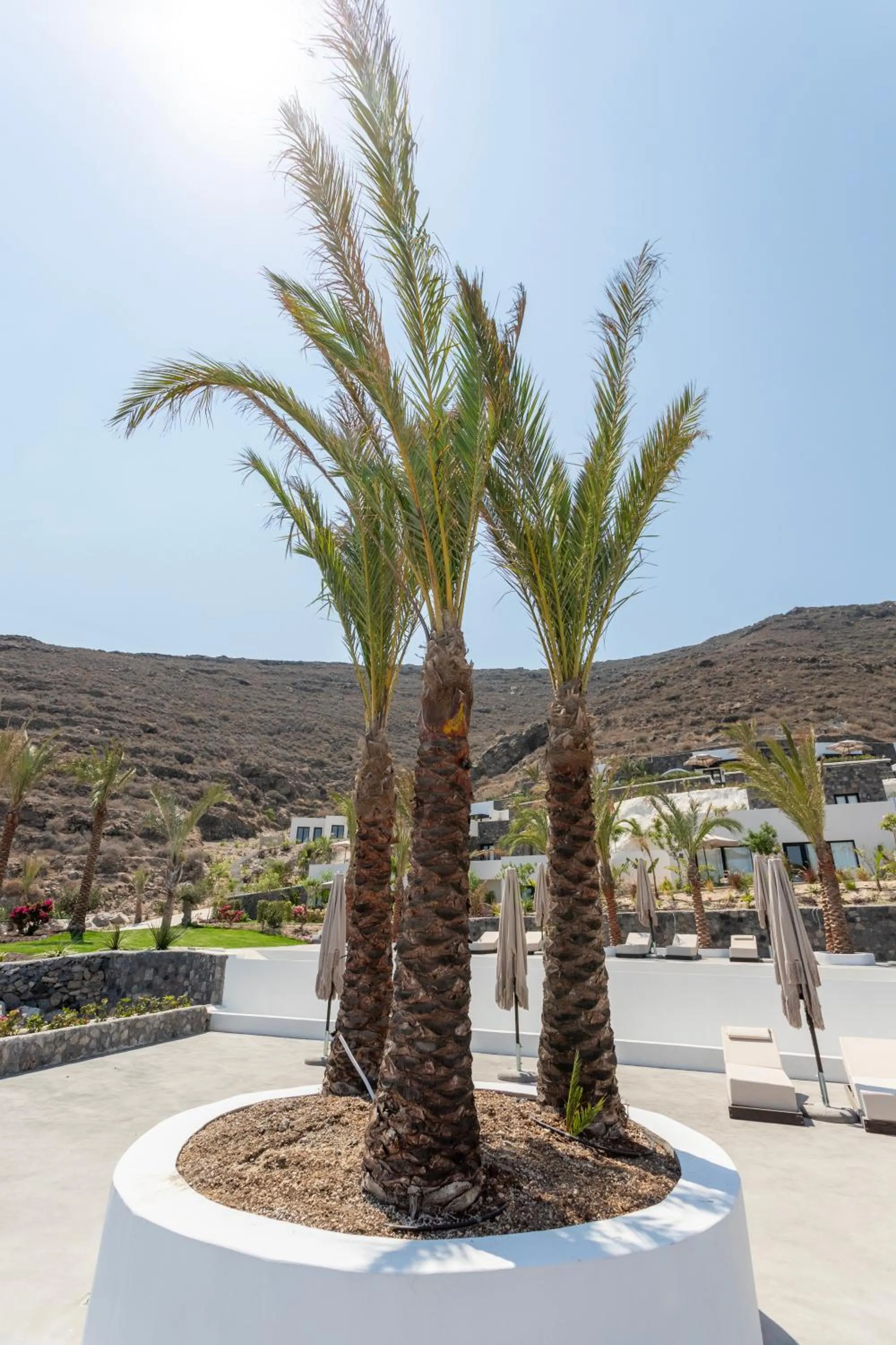 Mountain view in Palm Island Suites