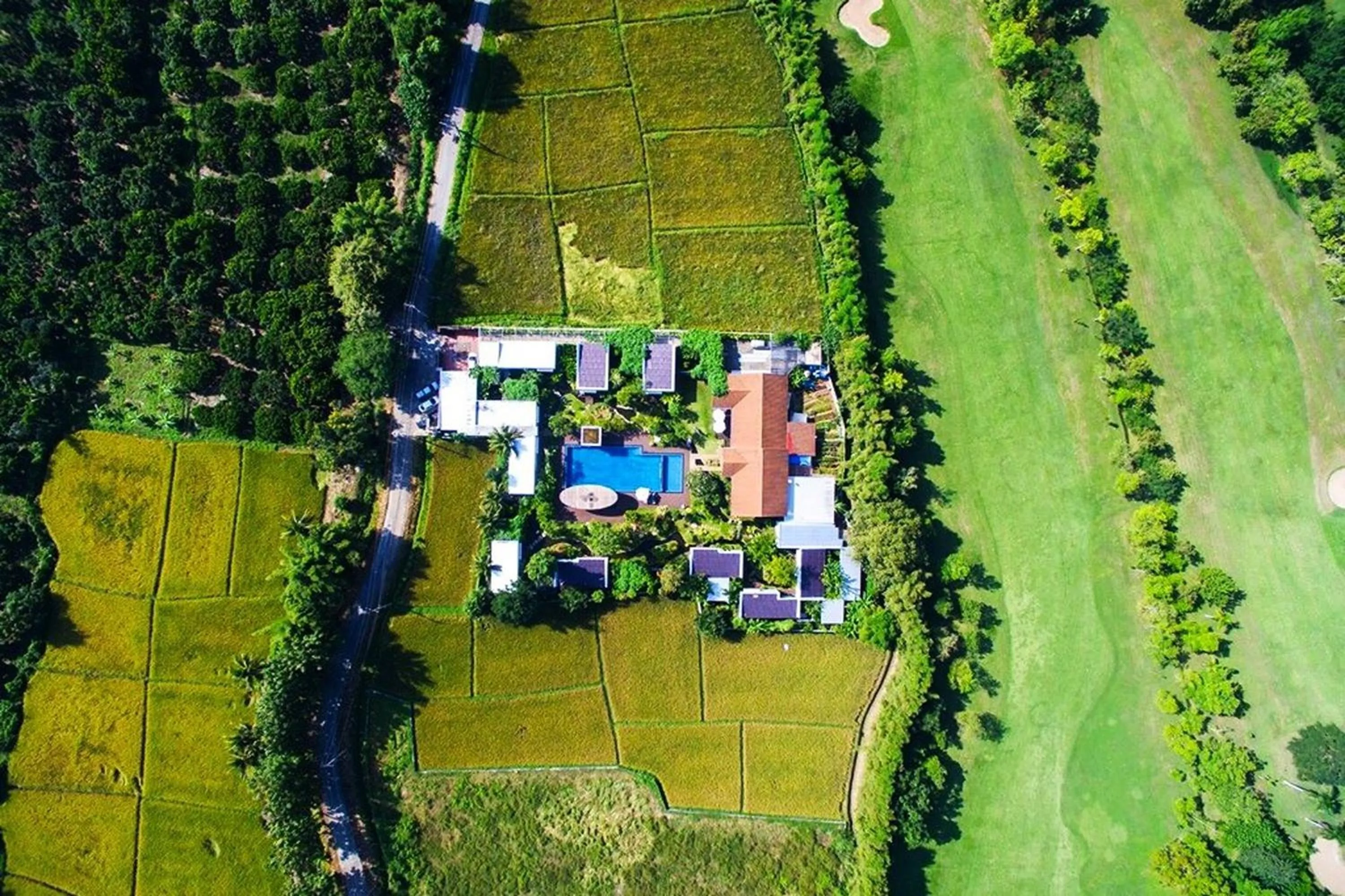 Pool view in Thai Good Arts Resort