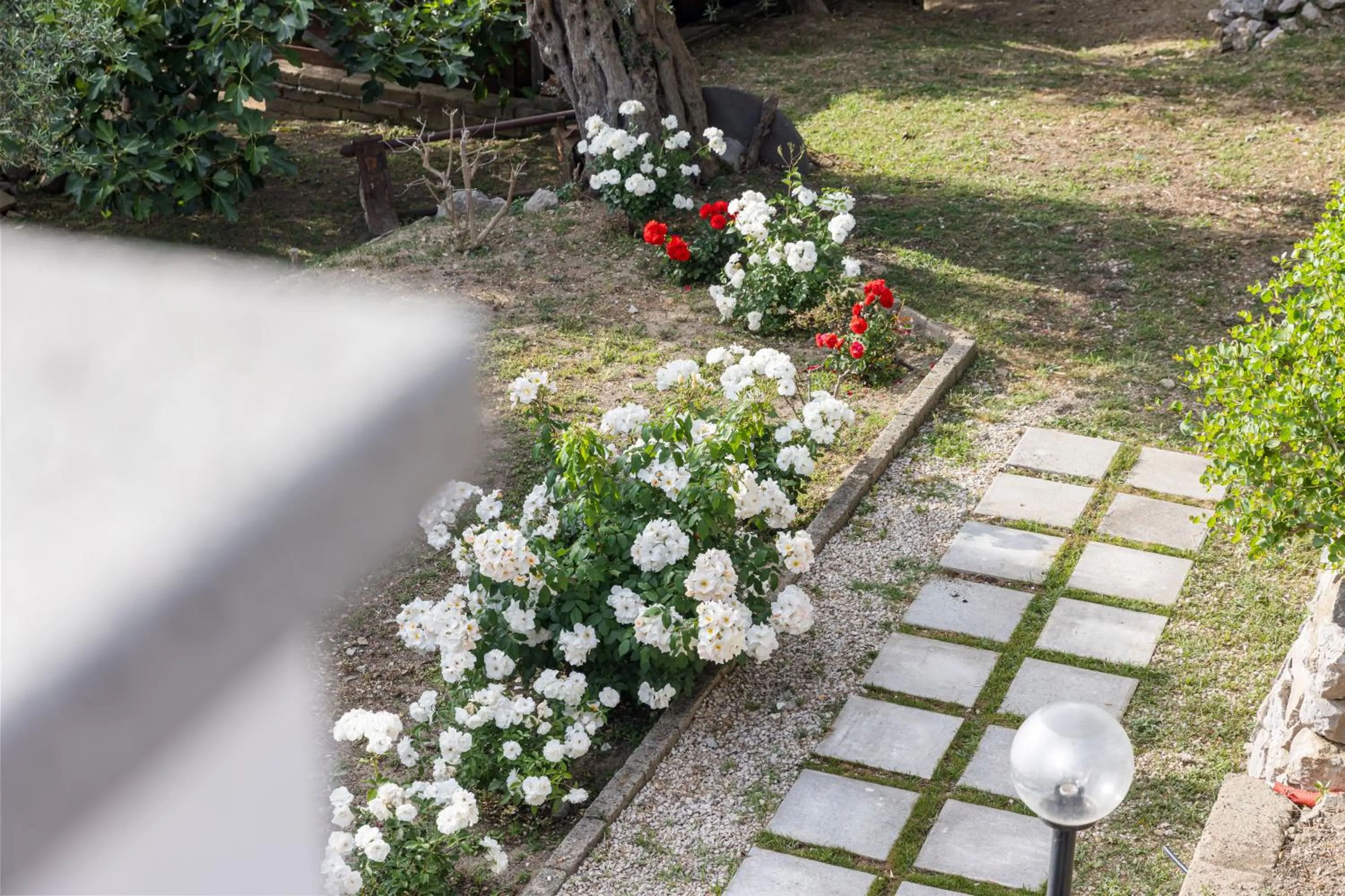 Garden in Casa Clementina Marciano