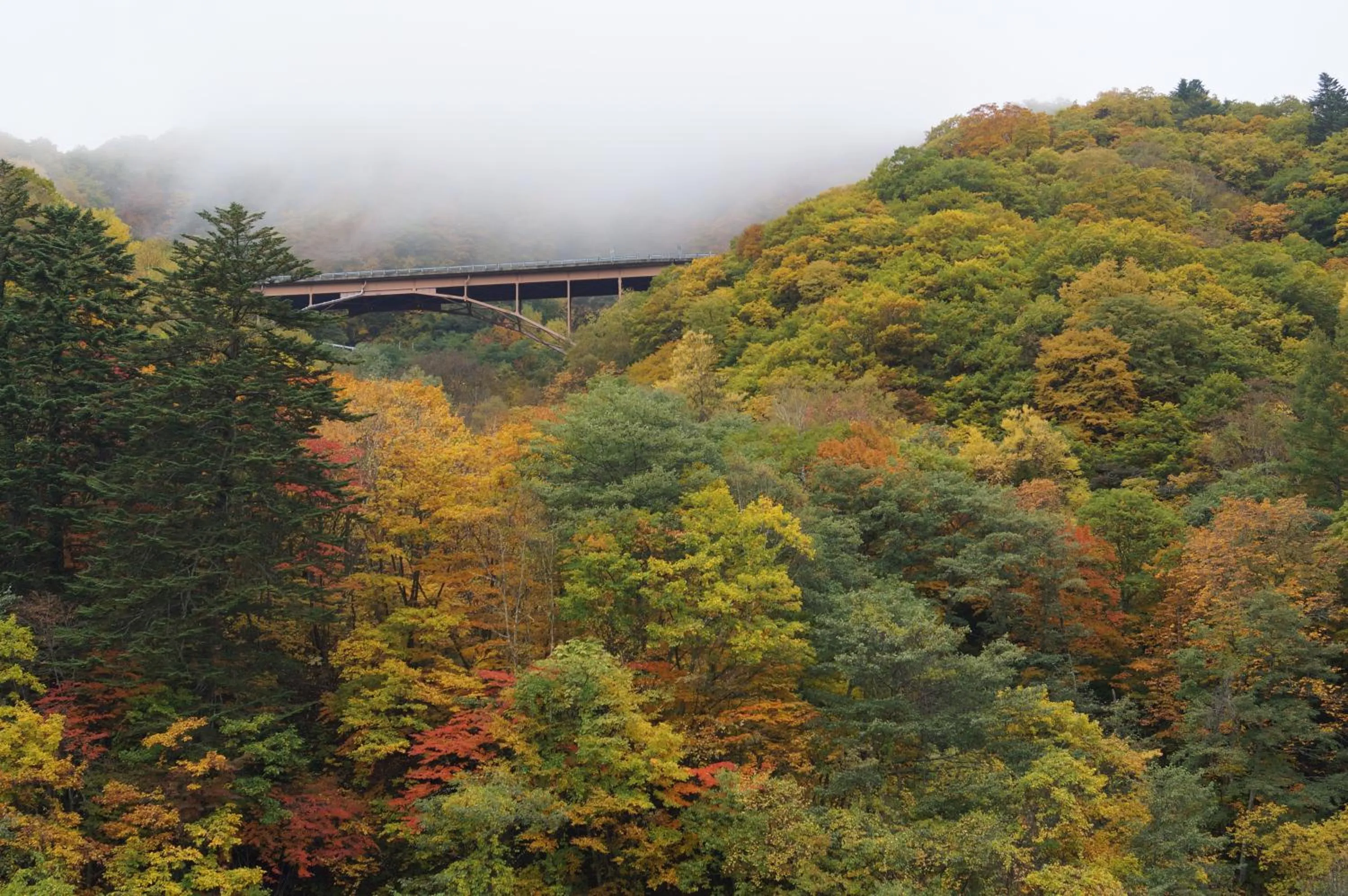 Nearby landmark in Kazeya