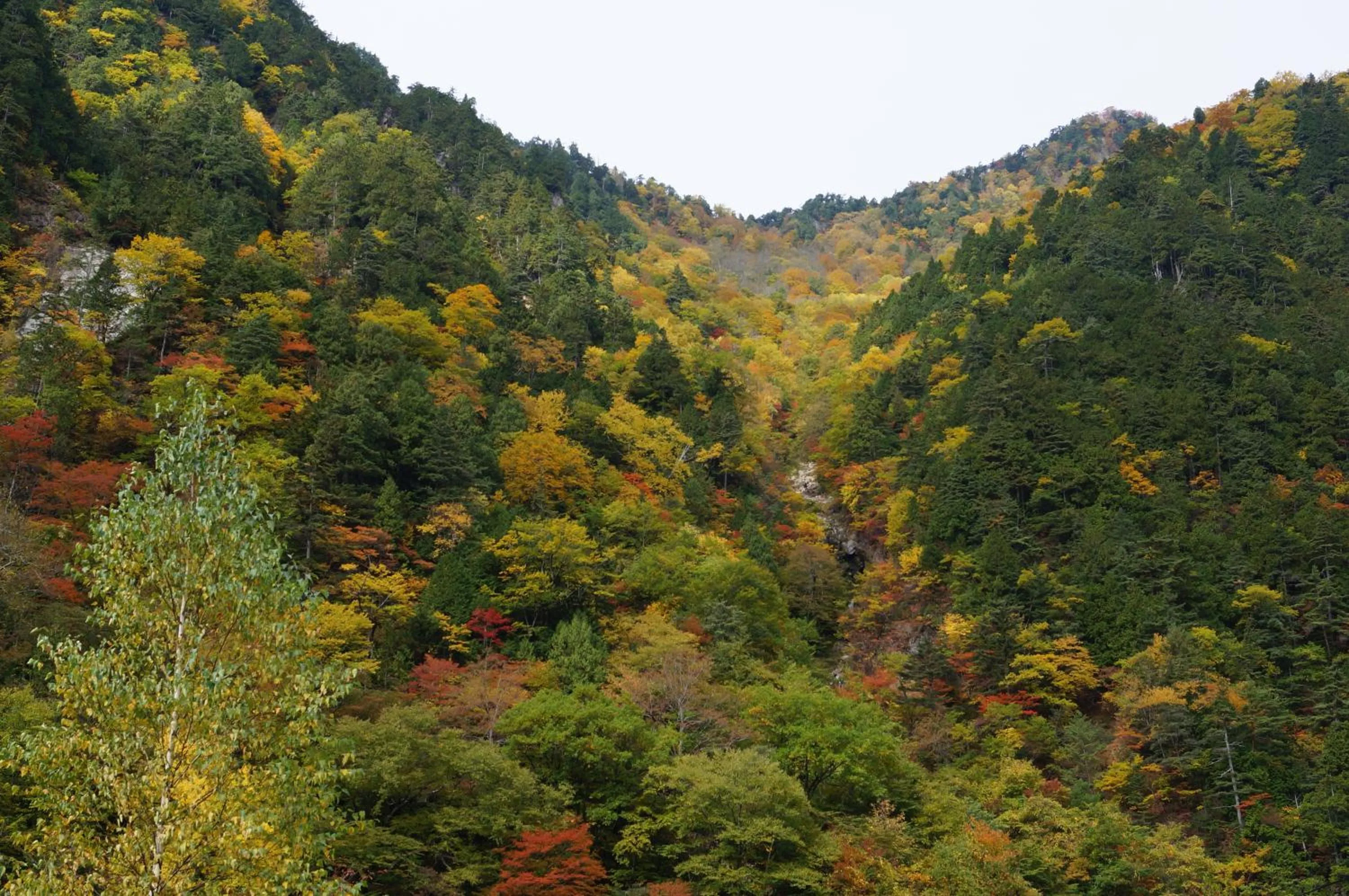 Nearby landmark in Kazeya