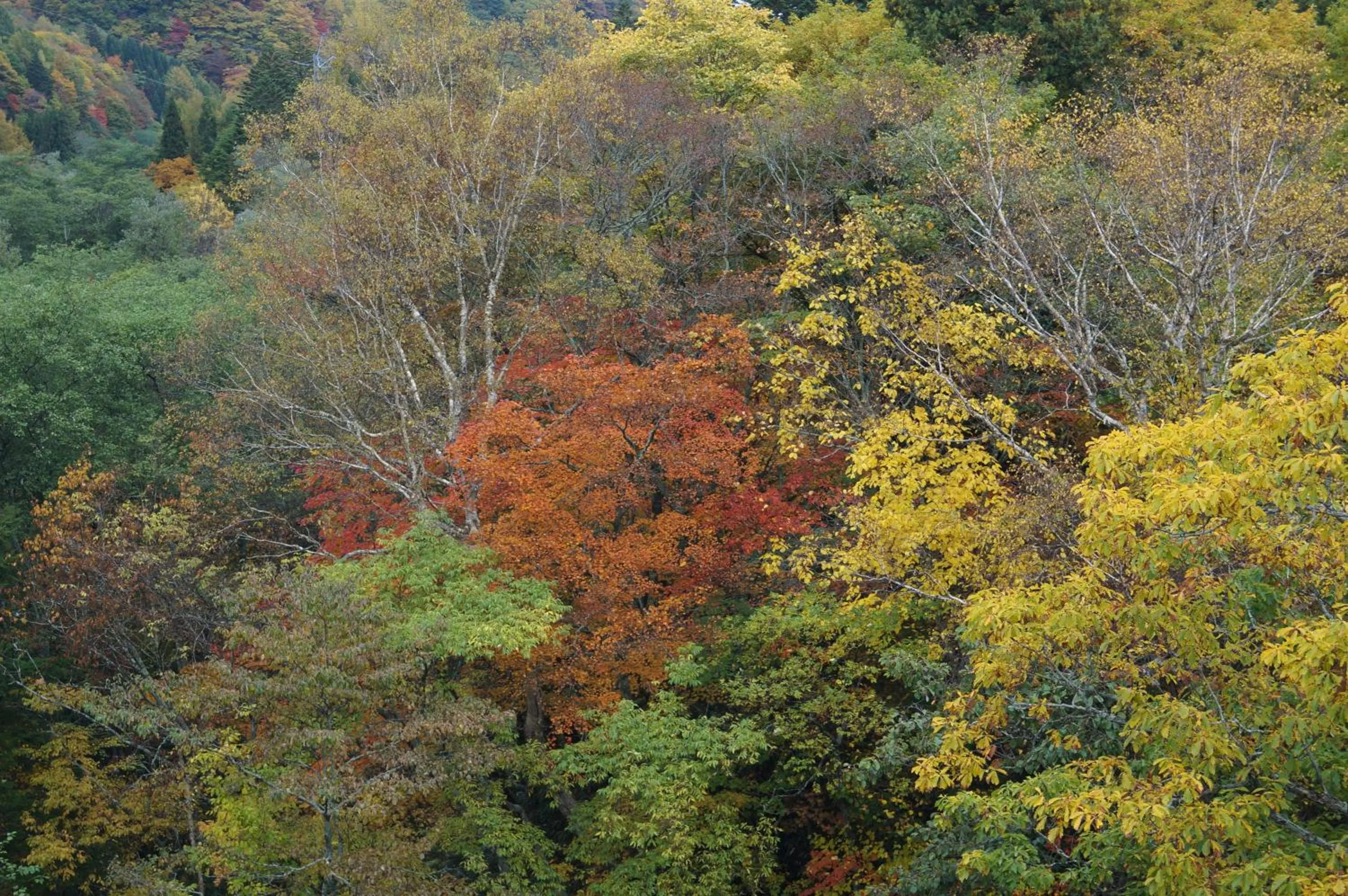 Nearby landmark in Kazeya