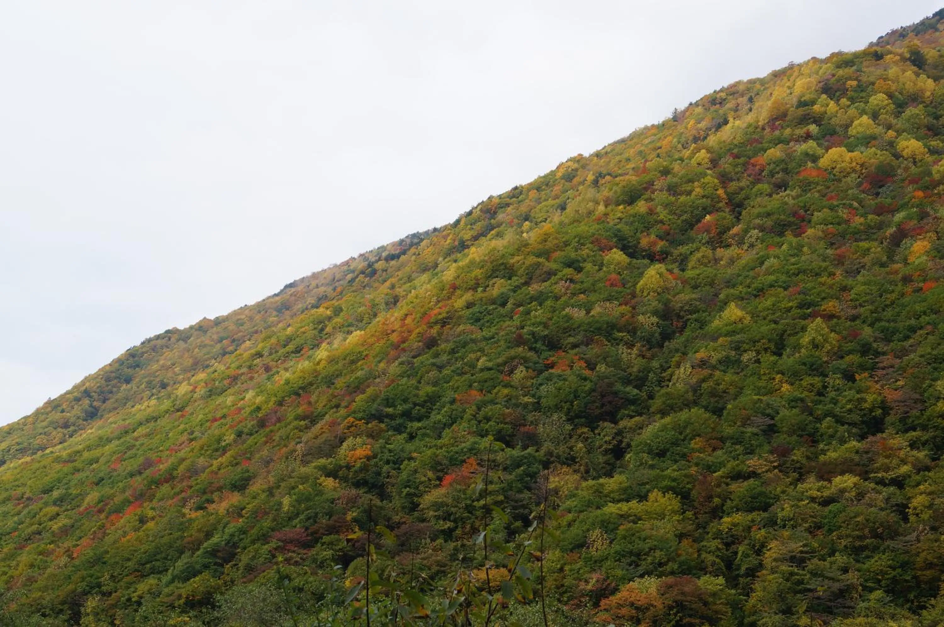 Nearby landmark in Kazeya