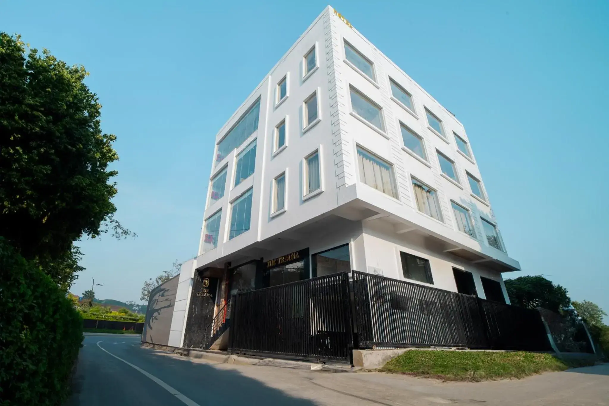 The Triana The Triana