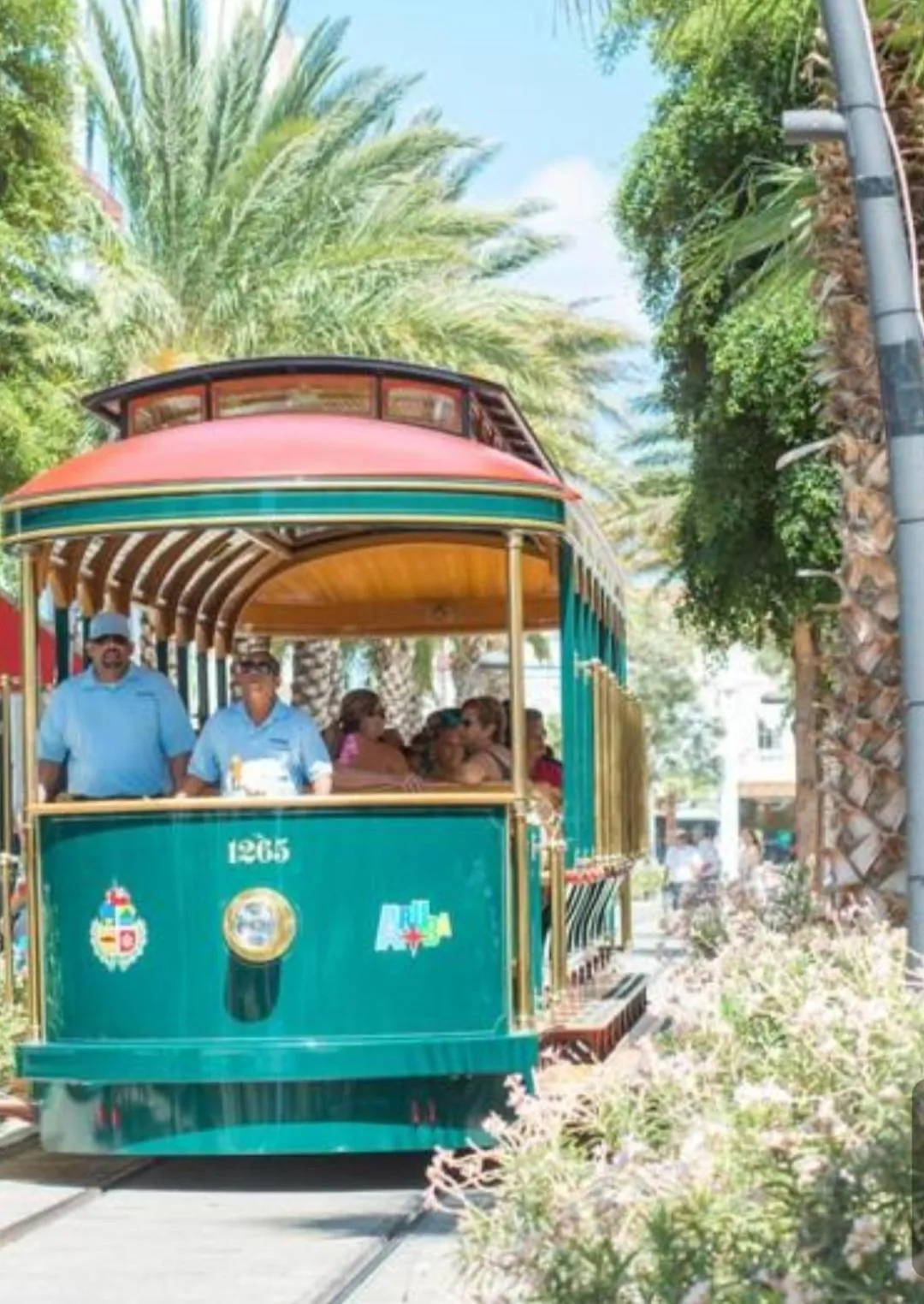 Entertainment in YOUR FIRST DAY Hotel on Aruba