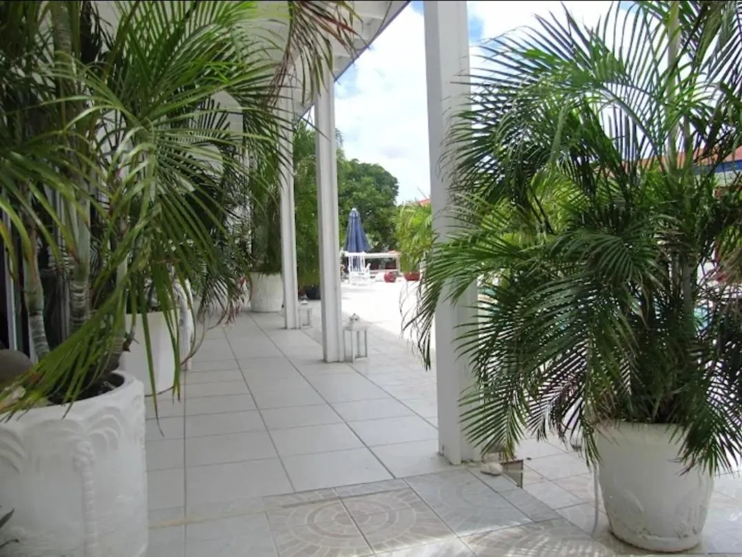 Garden view in YOUR FIRST DAY Hotel on Aruba