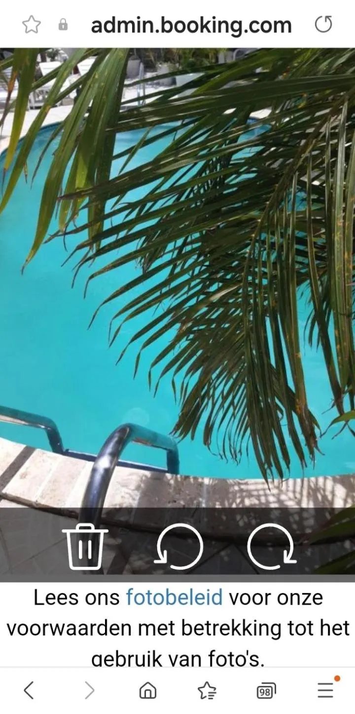 Pool view in YOUR FIRST DAY Hotel on Aruba