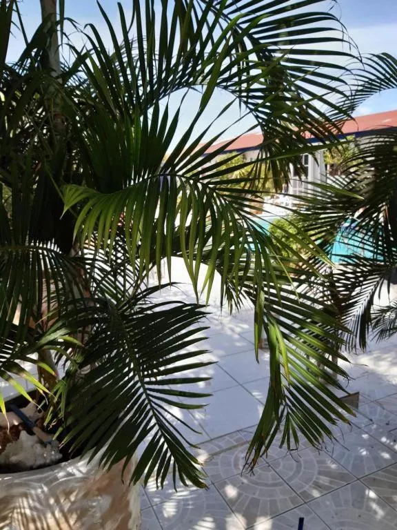 Day in YOUR FIRST DAY Hotel on Aruba