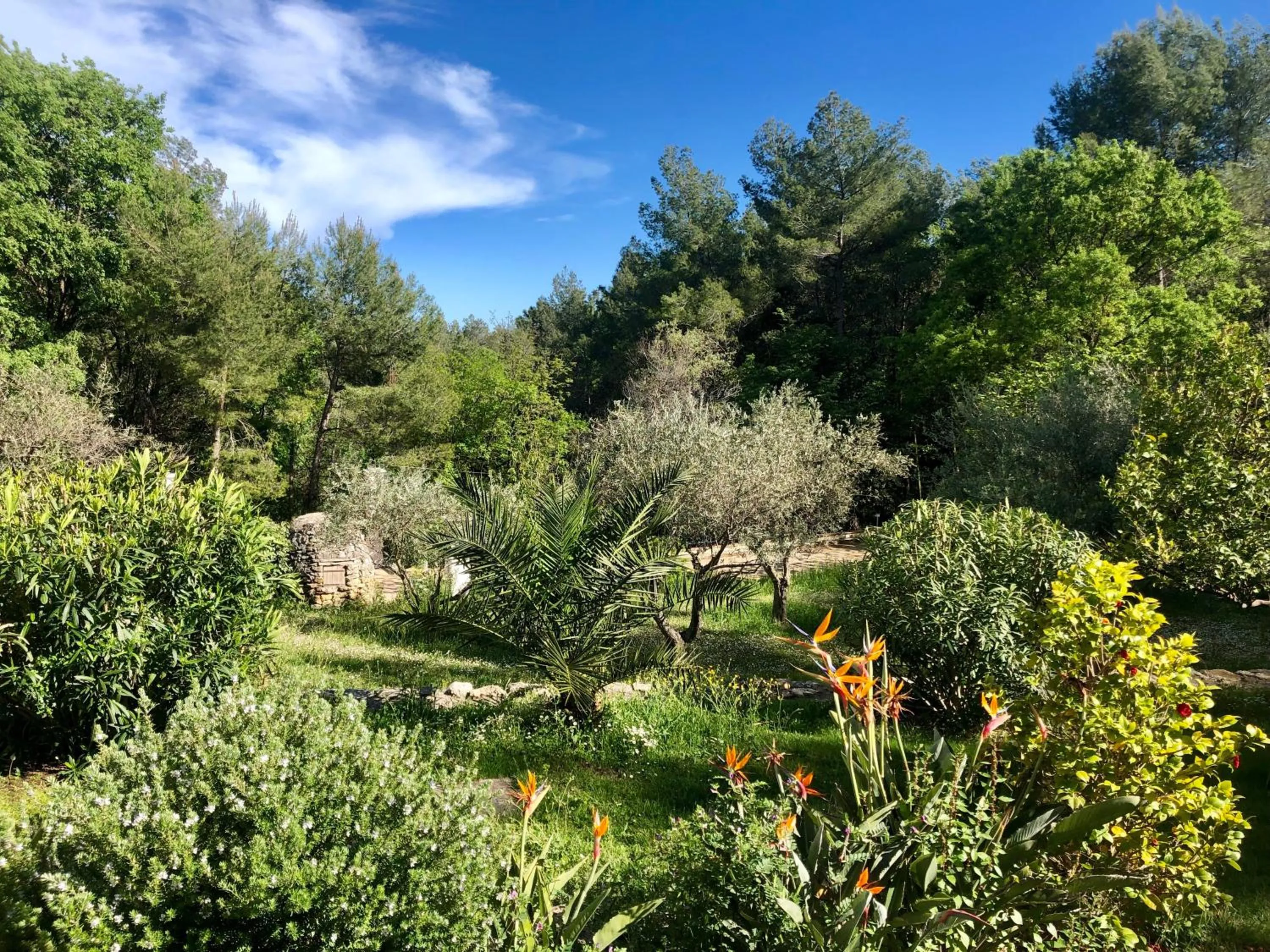 Garden in B&B Villa Ganesh