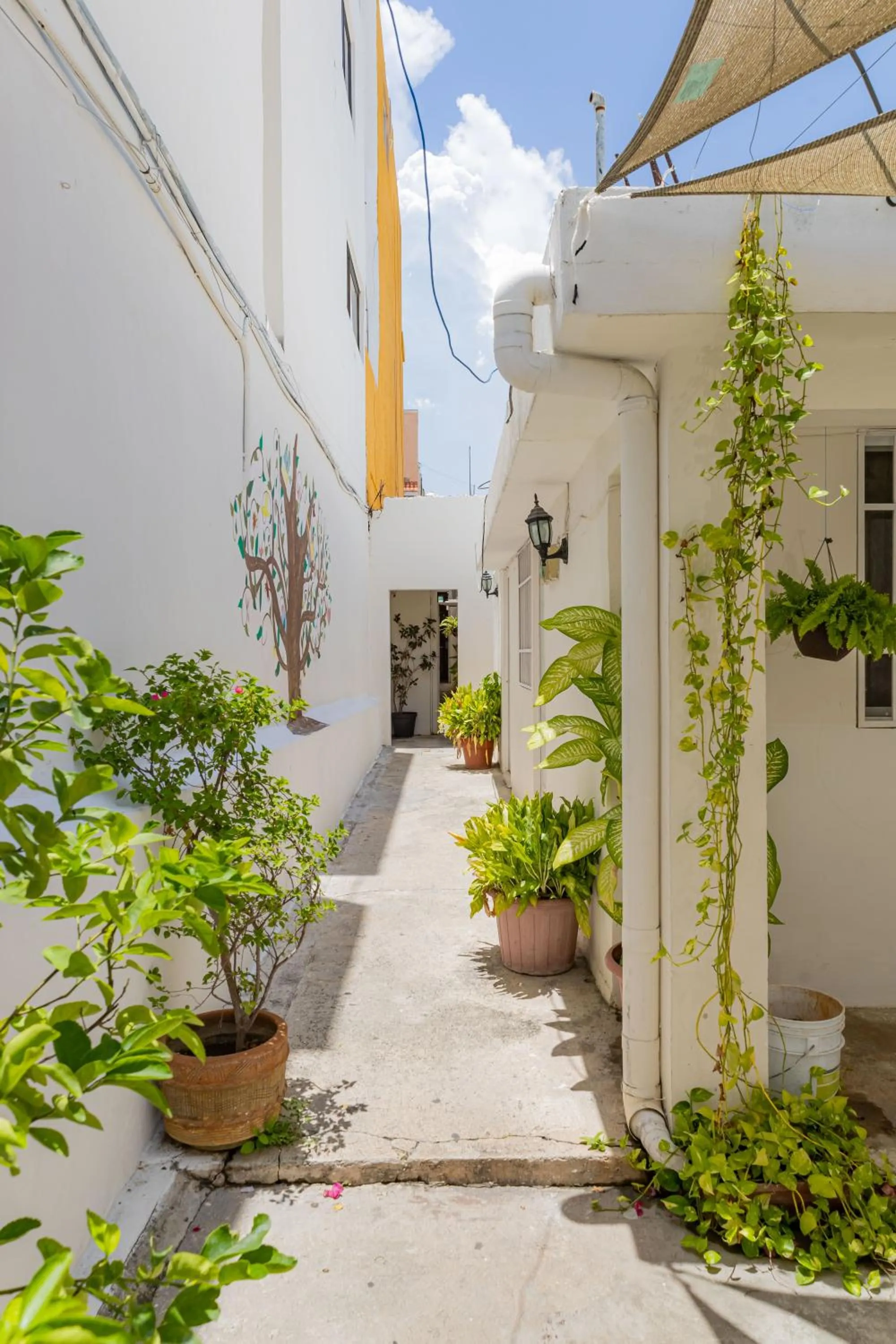 Property building in Hotel Las Palmas Cancun Centro