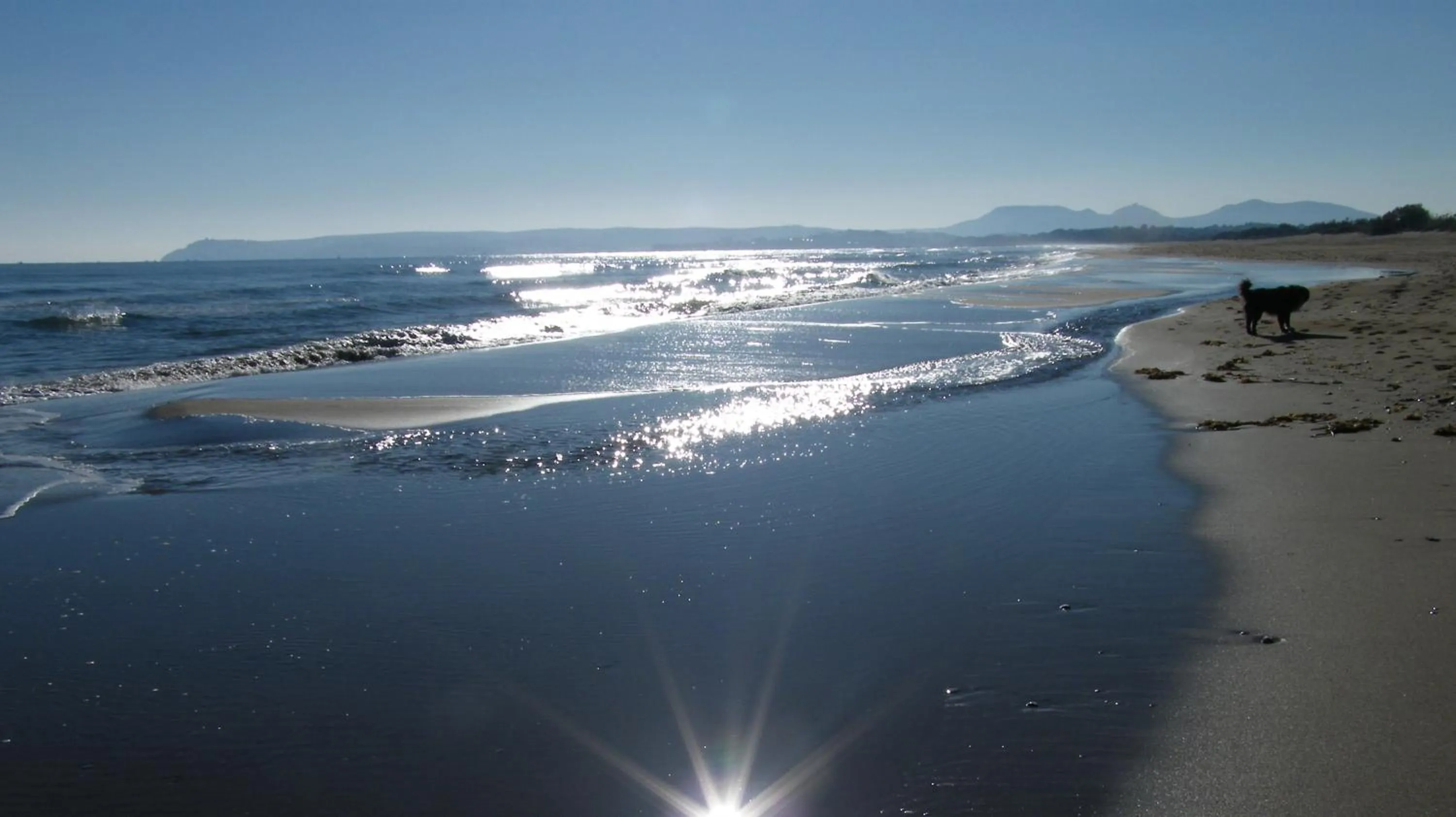 Beach in Can Selleretas