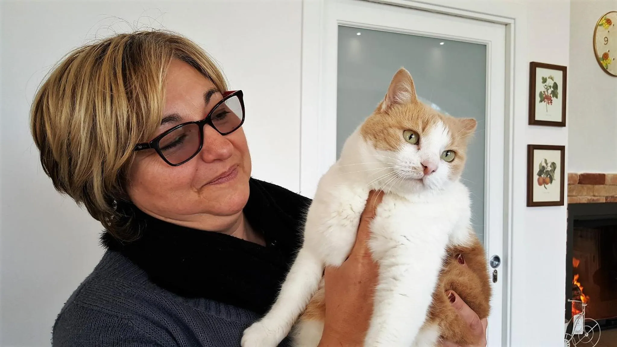 I Giardini di Elencosta