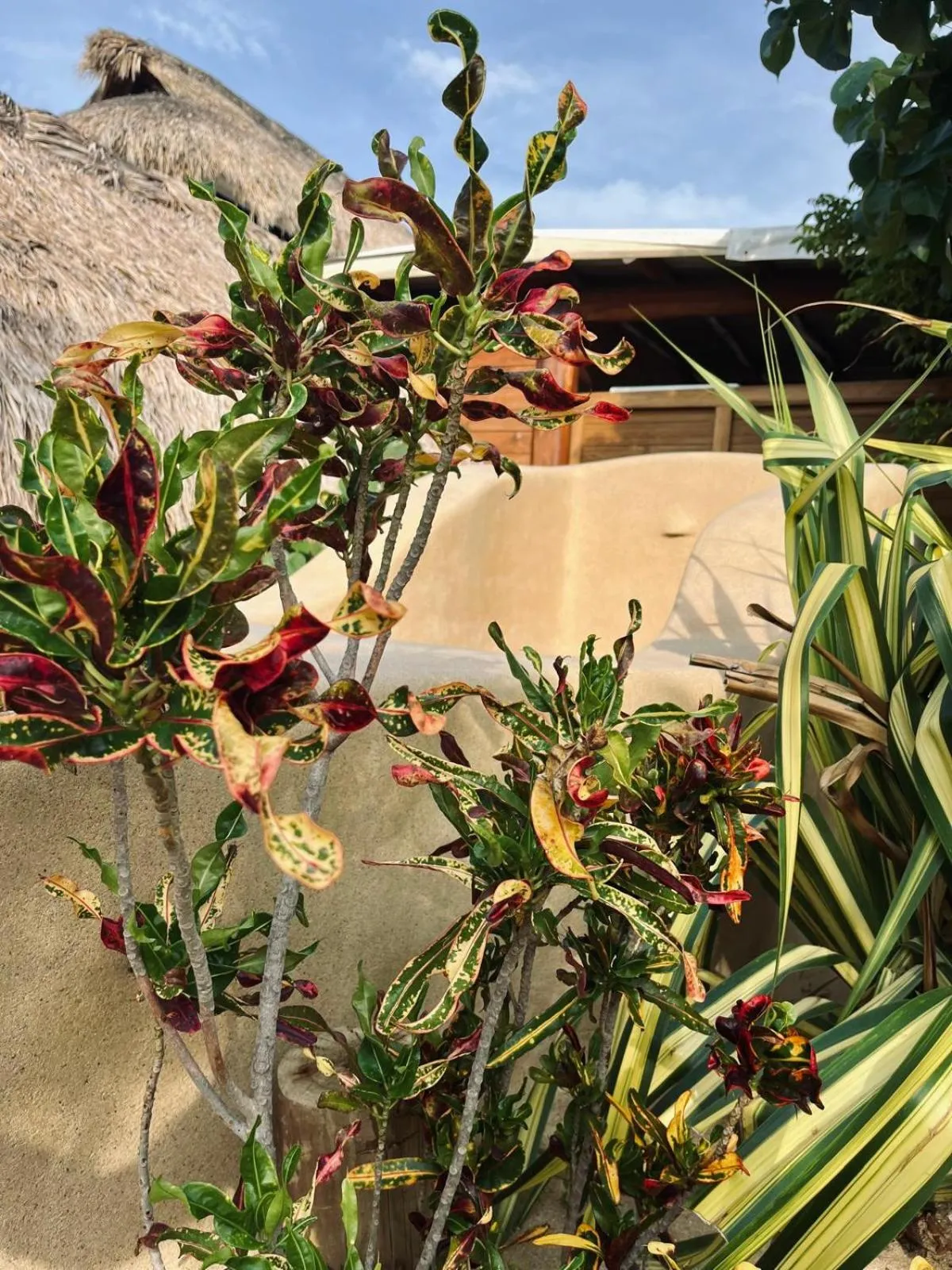 Spa and wellness centre/facilities in El Origen Villas & Spa-Puerto Escondido