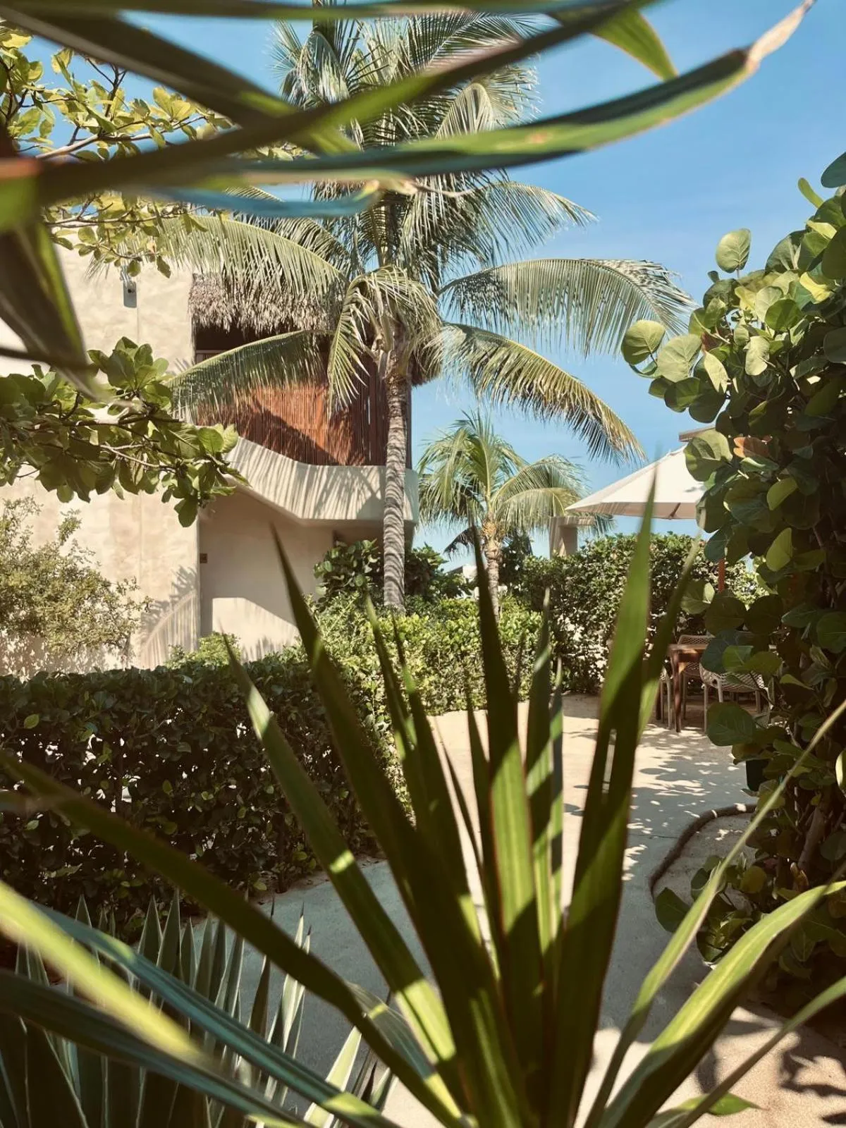 Garden view in El Origen Villas & Spa-Puerto Escondido