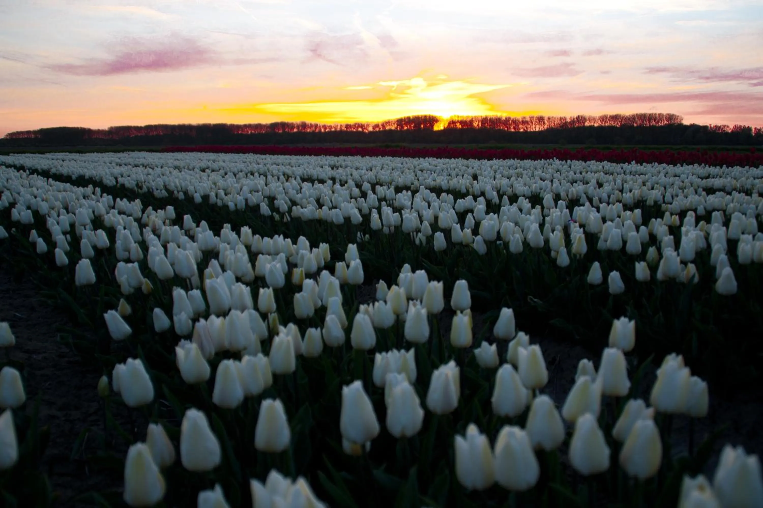 Location in Hotel Restaurant de Boekanier