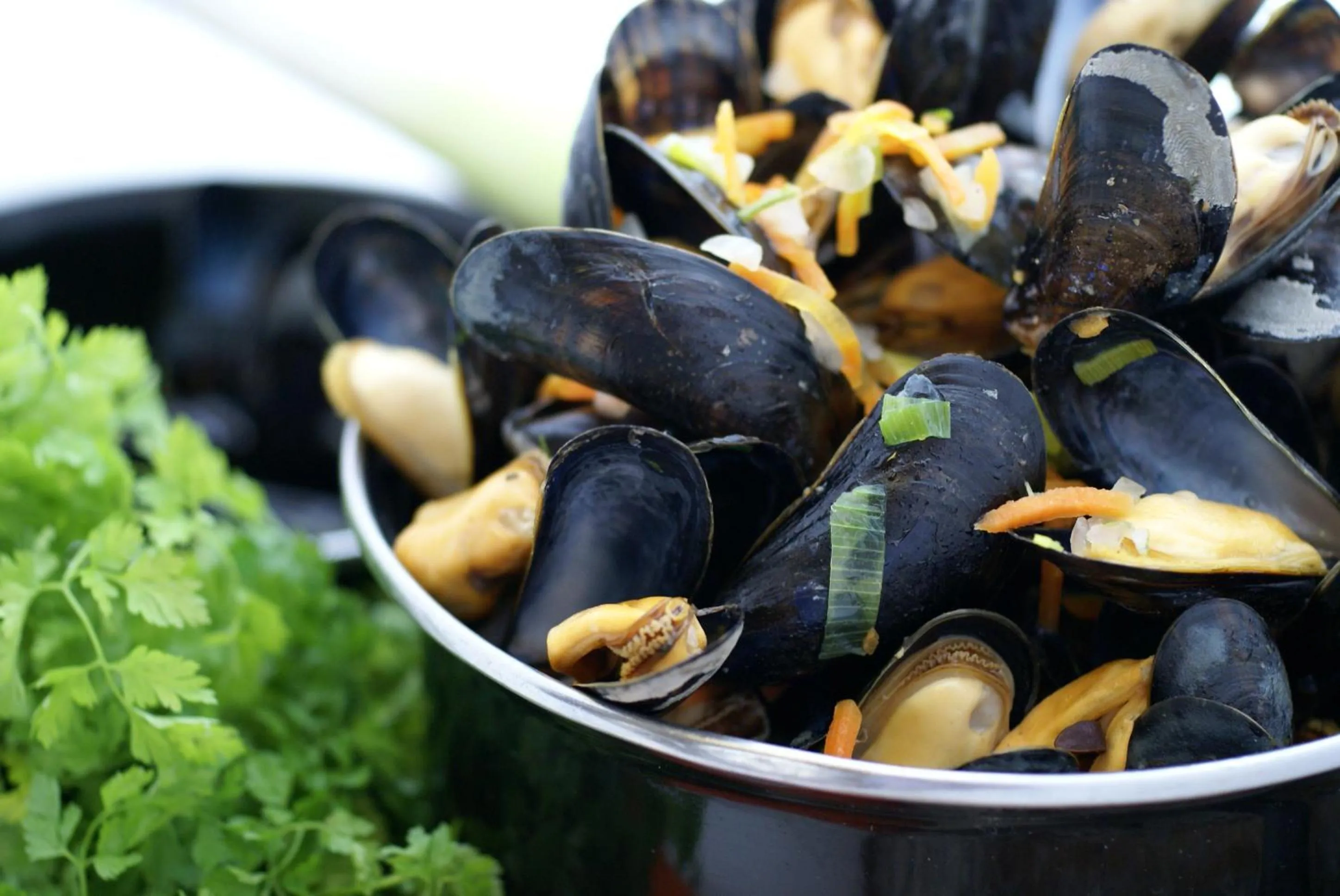 Hotel Restaurant de Boekanier