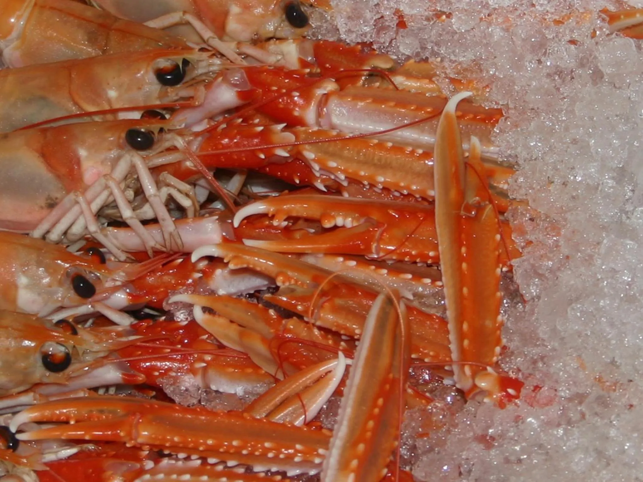 Food in Hotel Restaurant de Boekanier