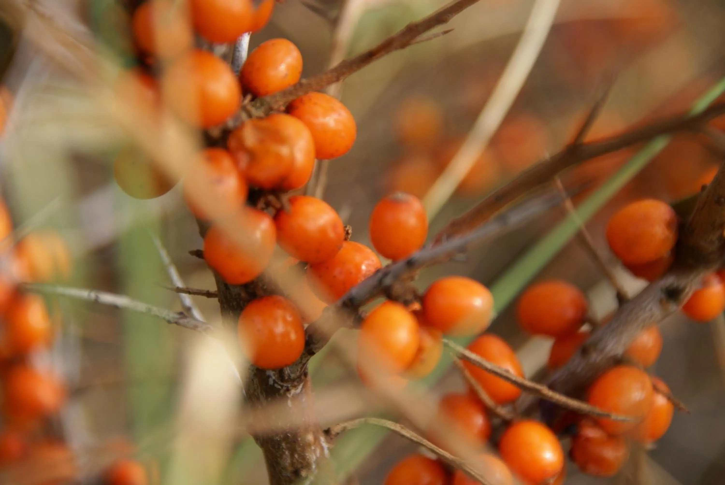 Other in Hotel Restaurant de Boekanier