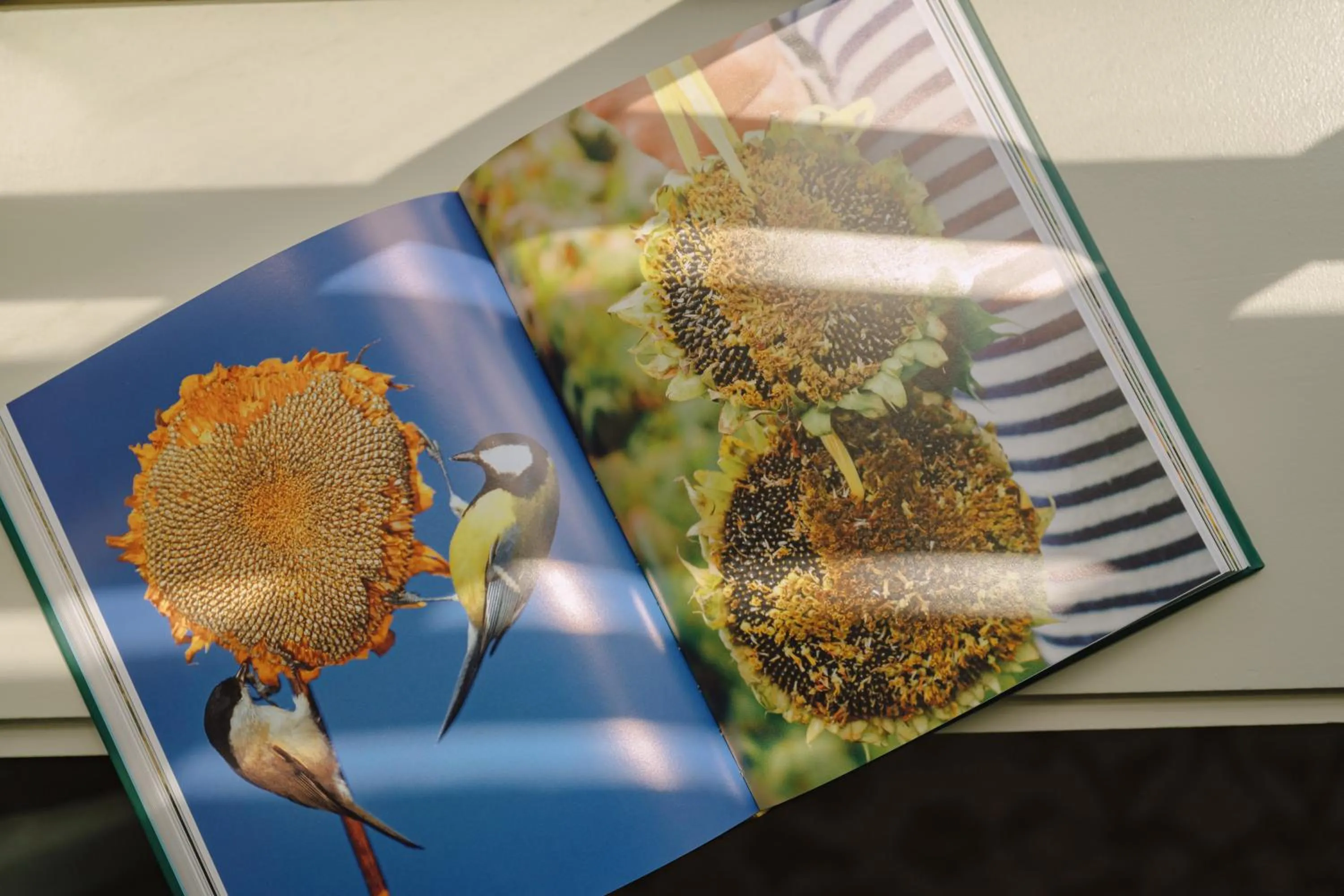 Hotel Heron Old Town Alexandria