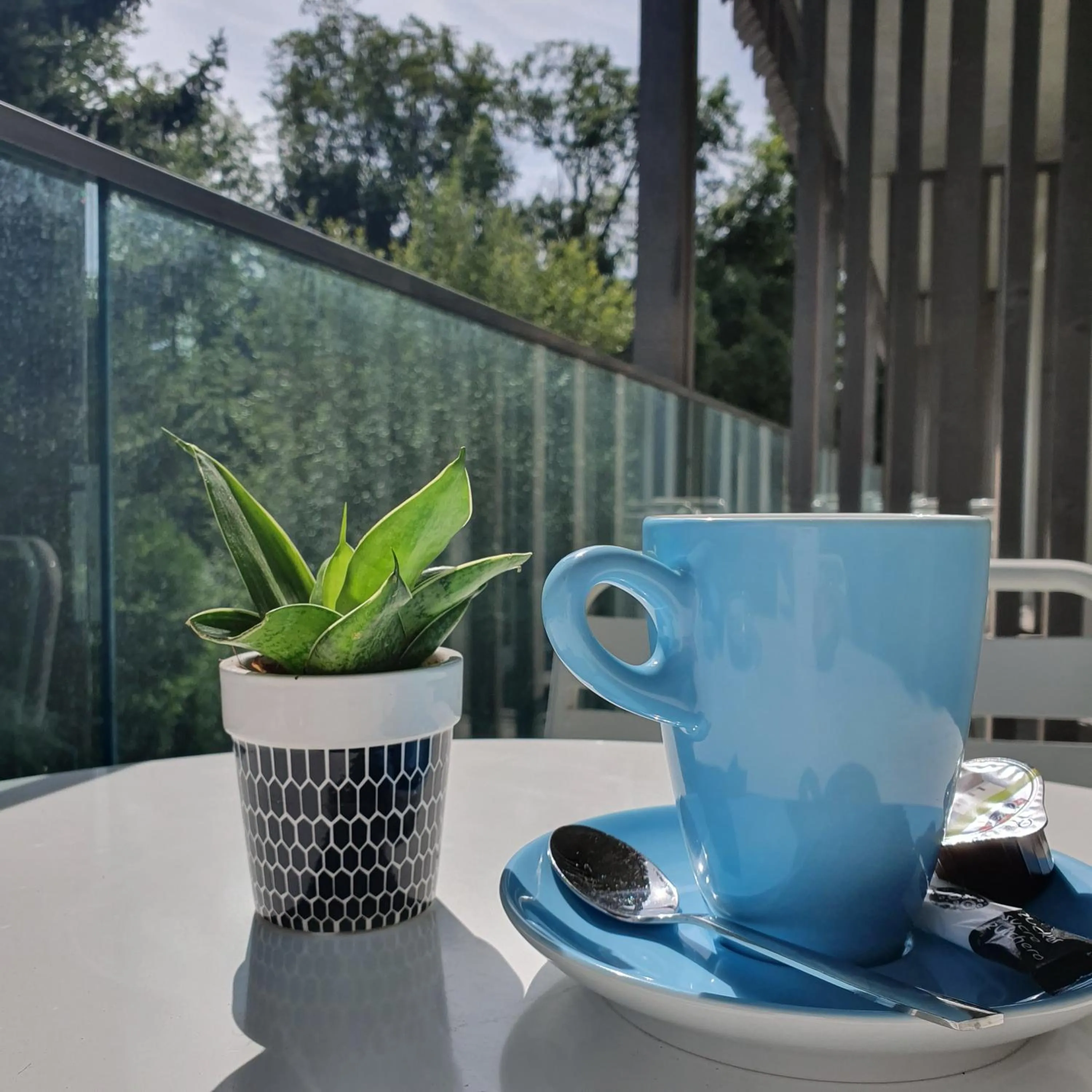 Balcony/Terrace in Hôtel de la Source Yverdon-les-Bains