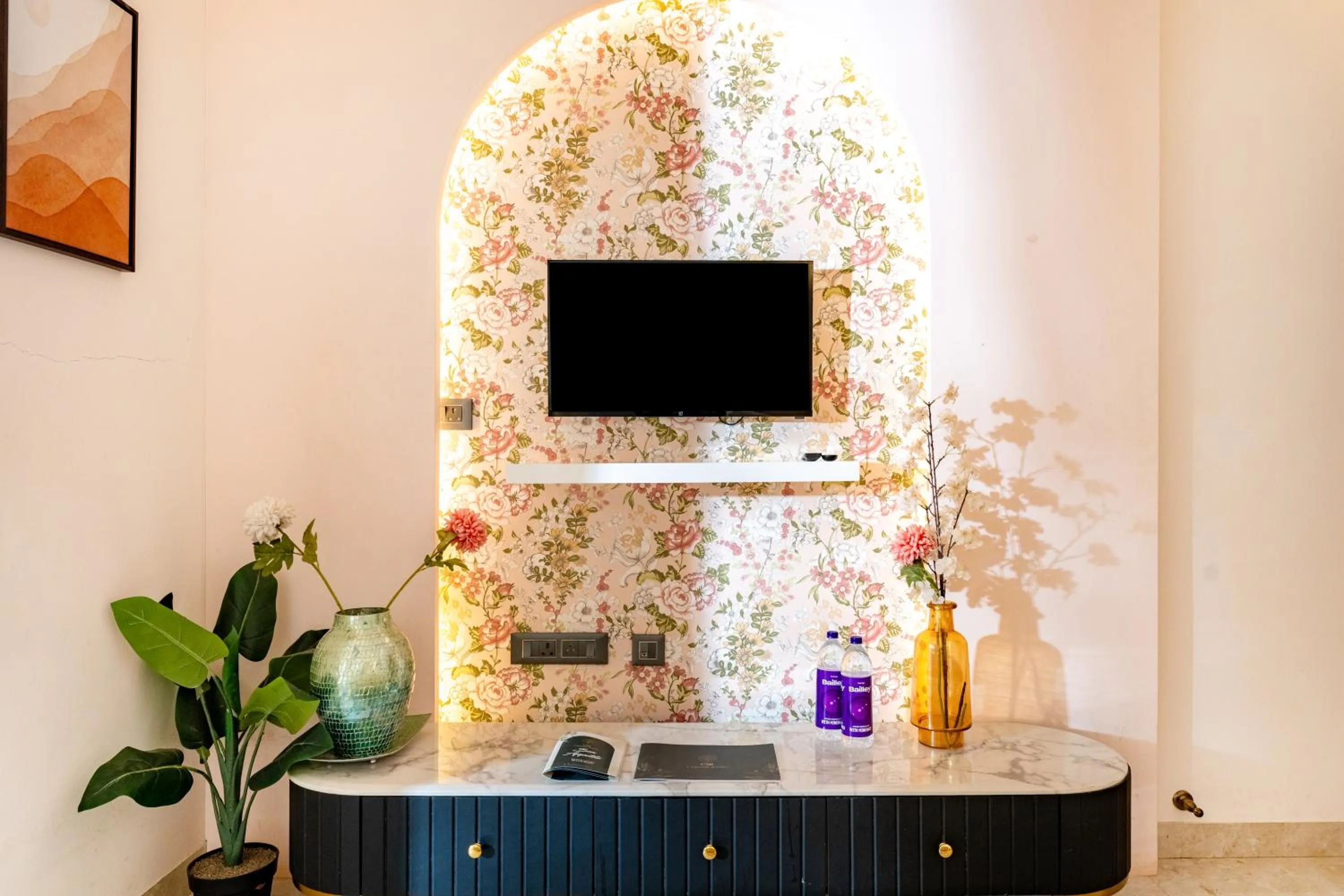 TV and multimedia in CSR Landmark Resorts