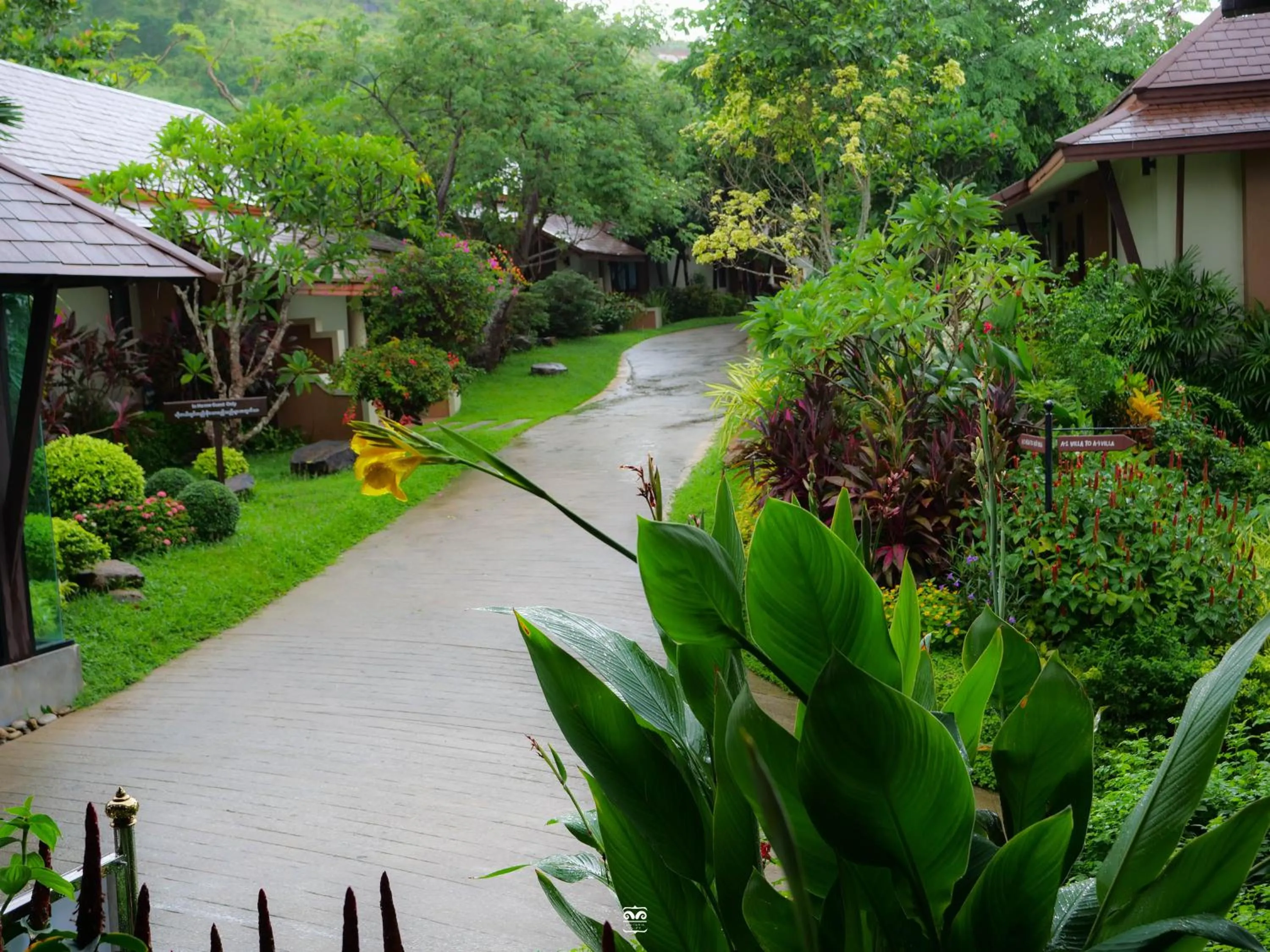 Natural landscape in Victoria Cliff Hotel & Resort, Kawthaung