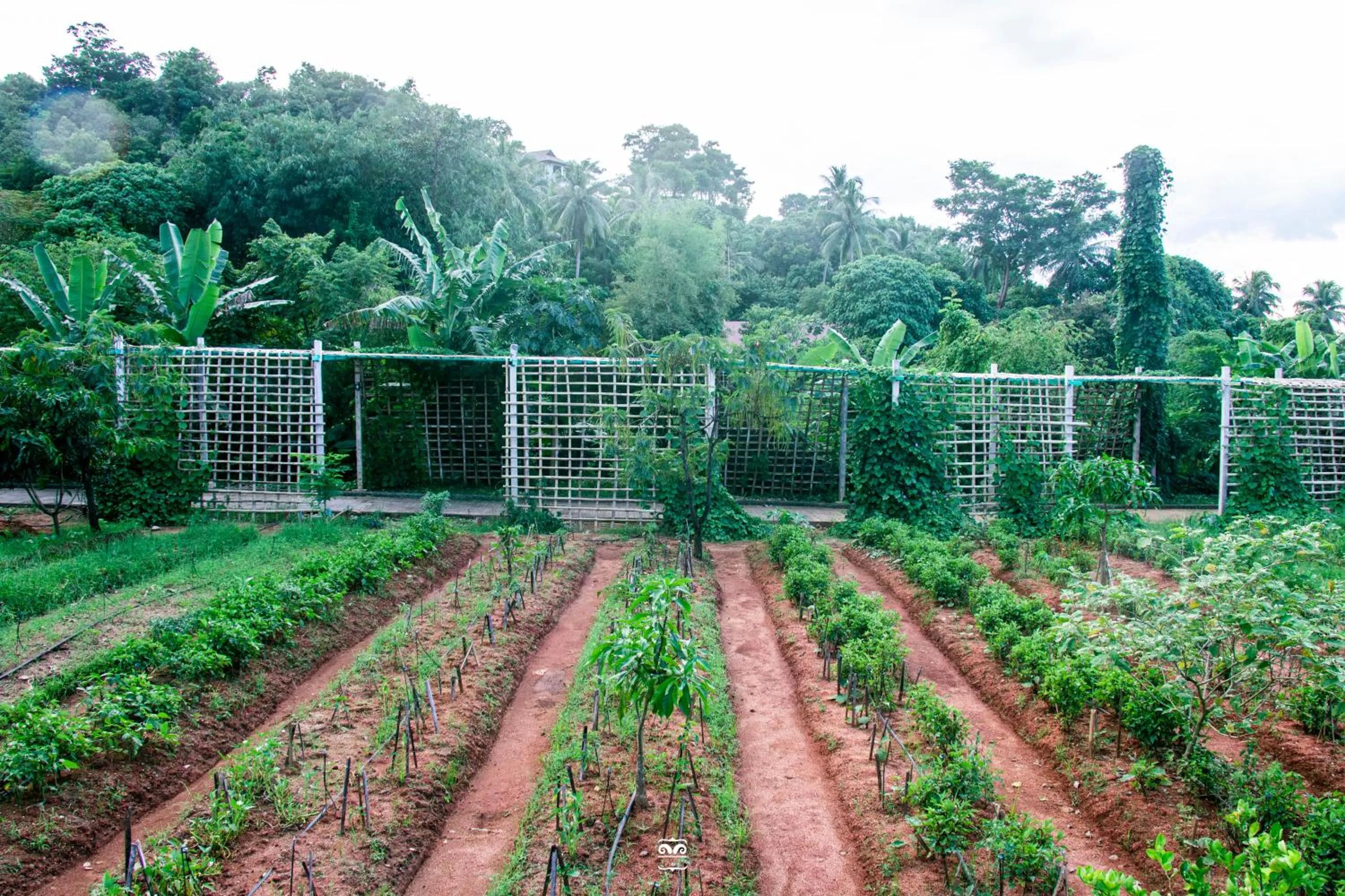 Day in Victoria Cliff Hotel & Resort, Kawthaung