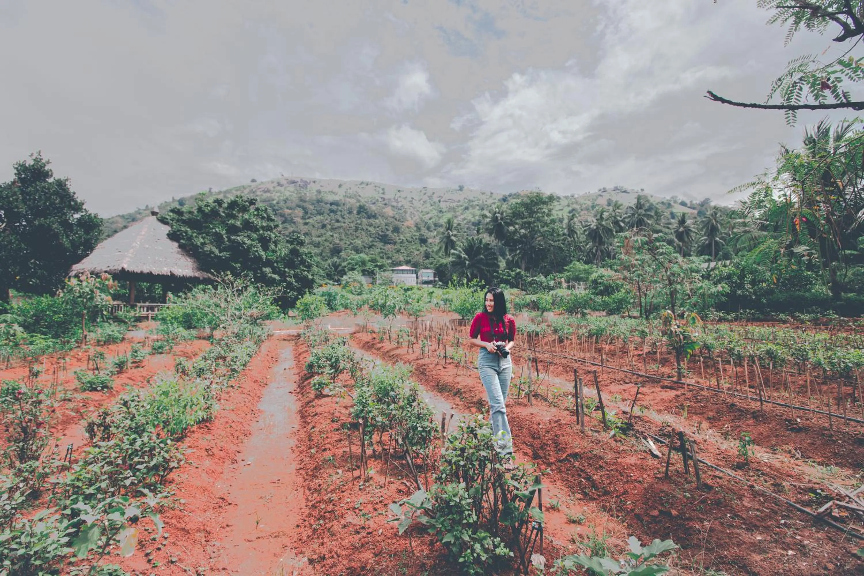 Spring in Victoria Cliff Hotel & Resort, Kawthaung