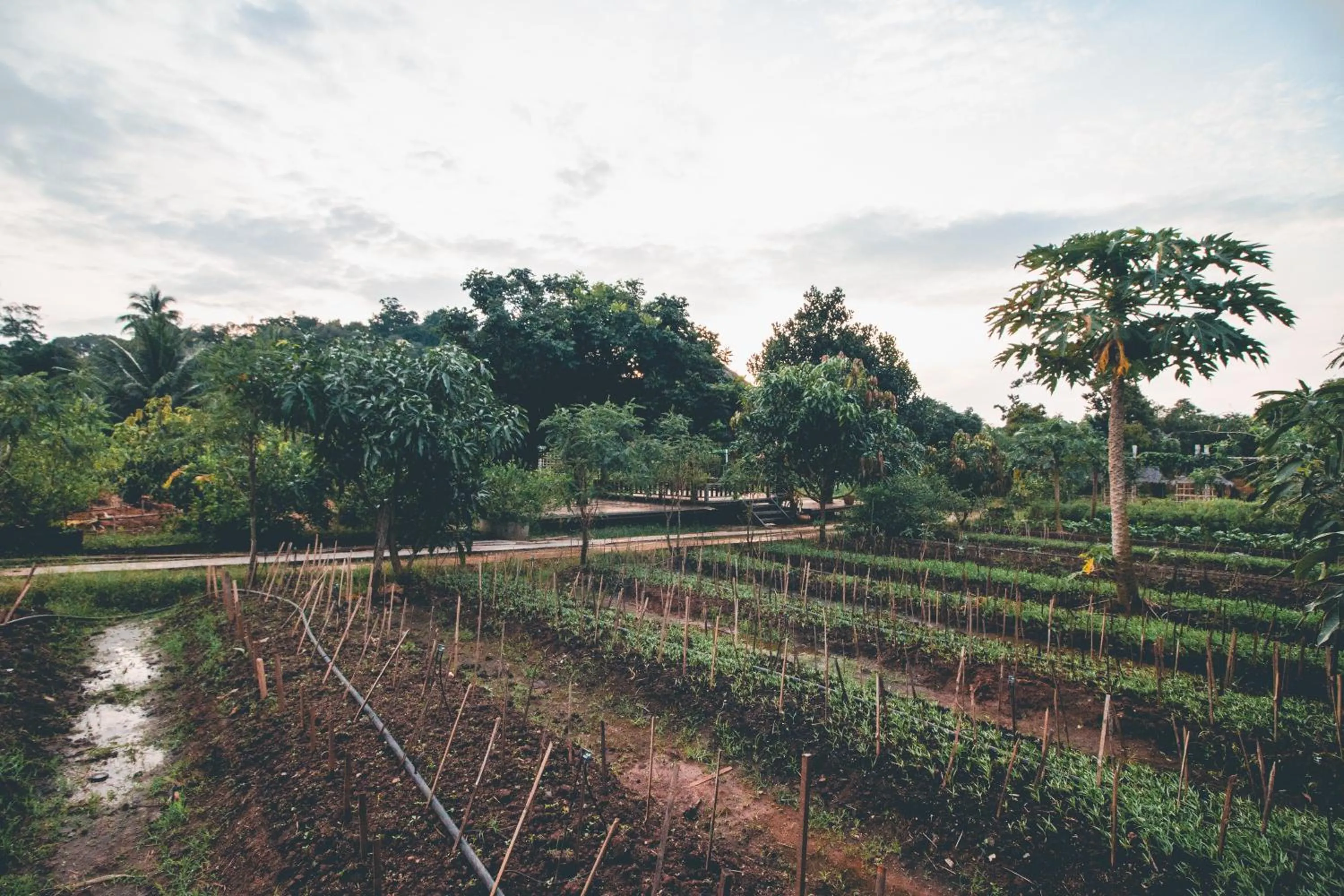 Day in Victoria Cliff Hotel & Resort, Kawthaung