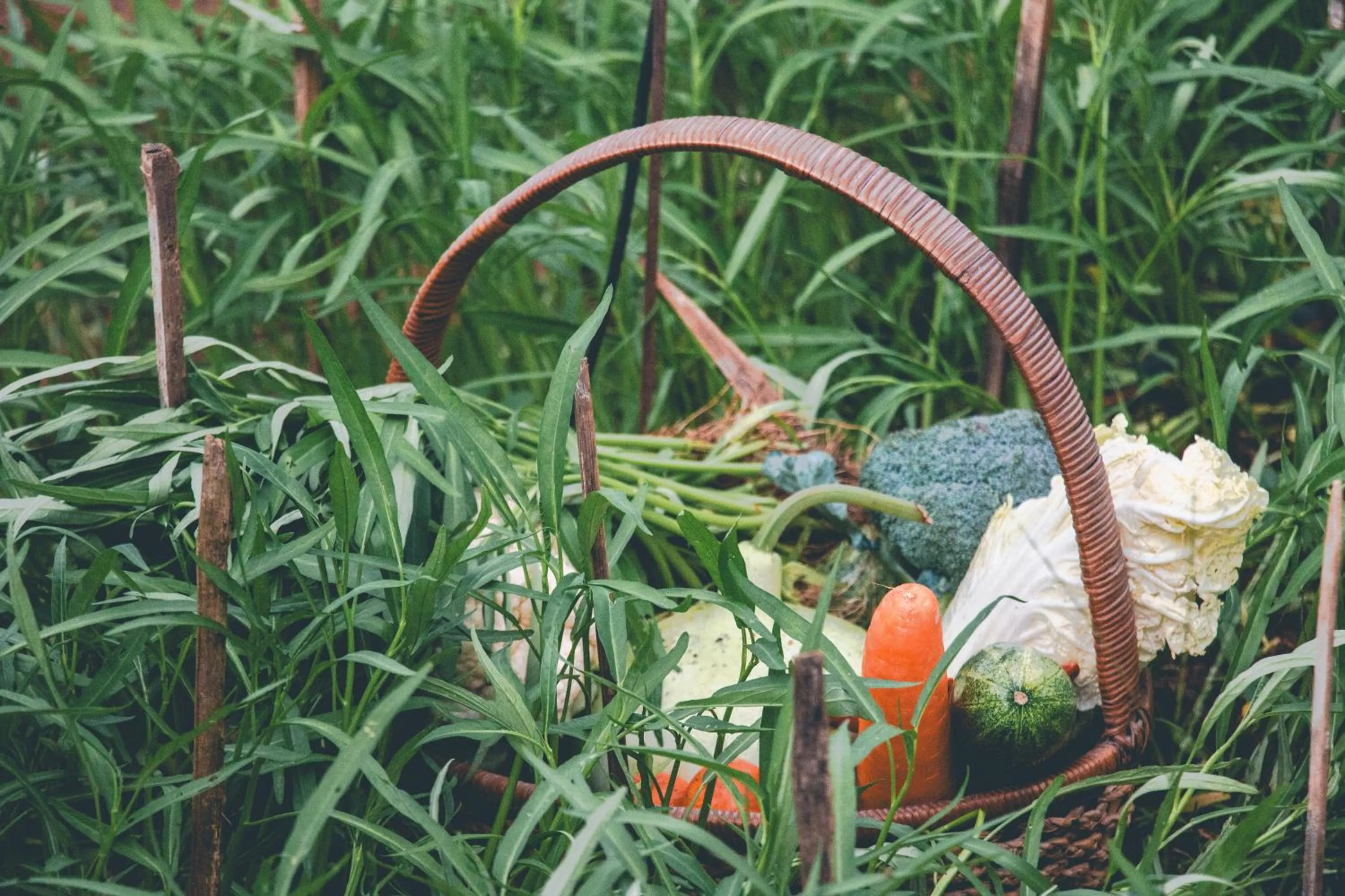 Spring in Victoria Cliff Hotel & Resort, Kawthaung