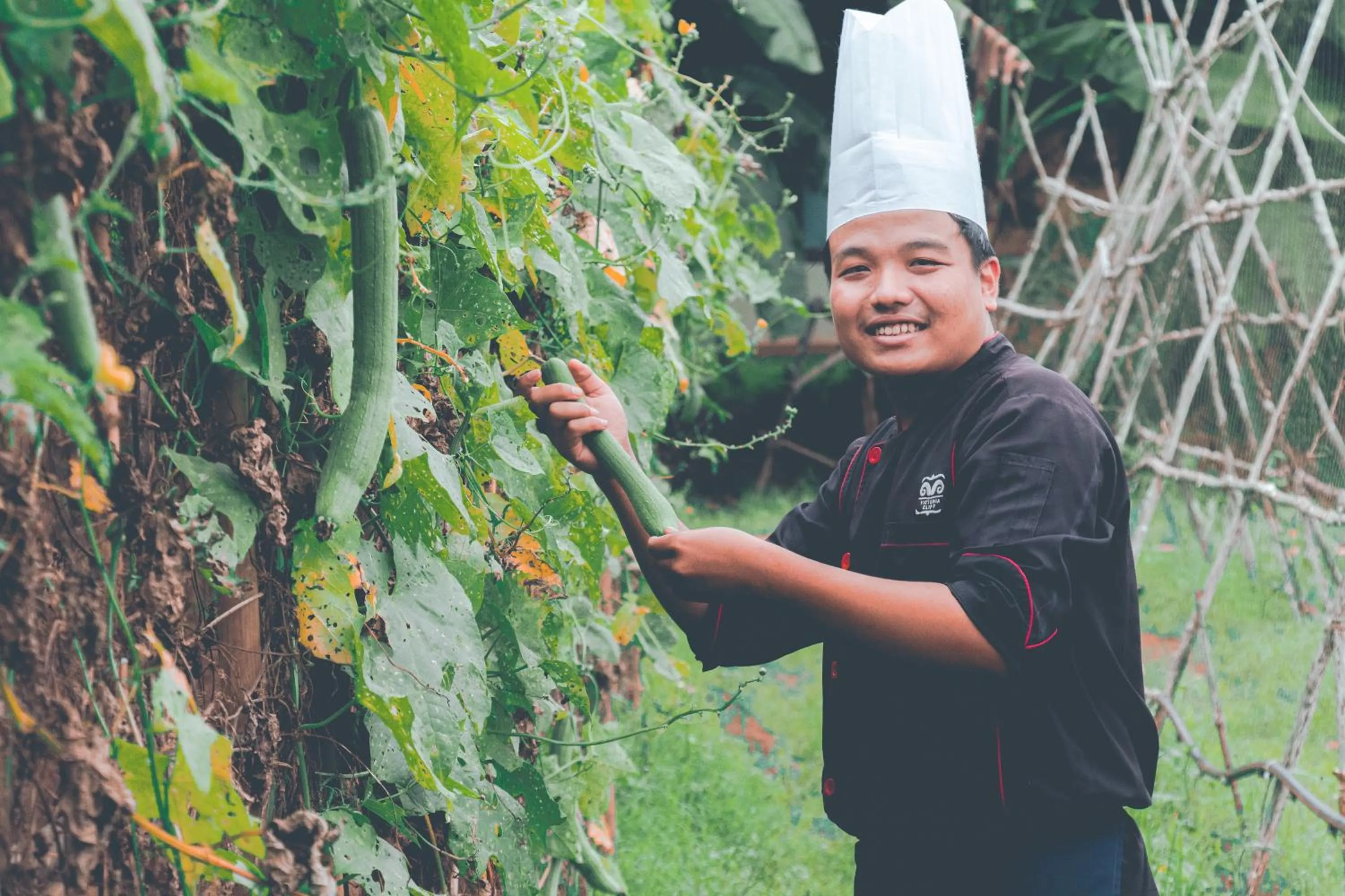 Spring in Victoria Cliff Hotel & Resort, Kawthaung