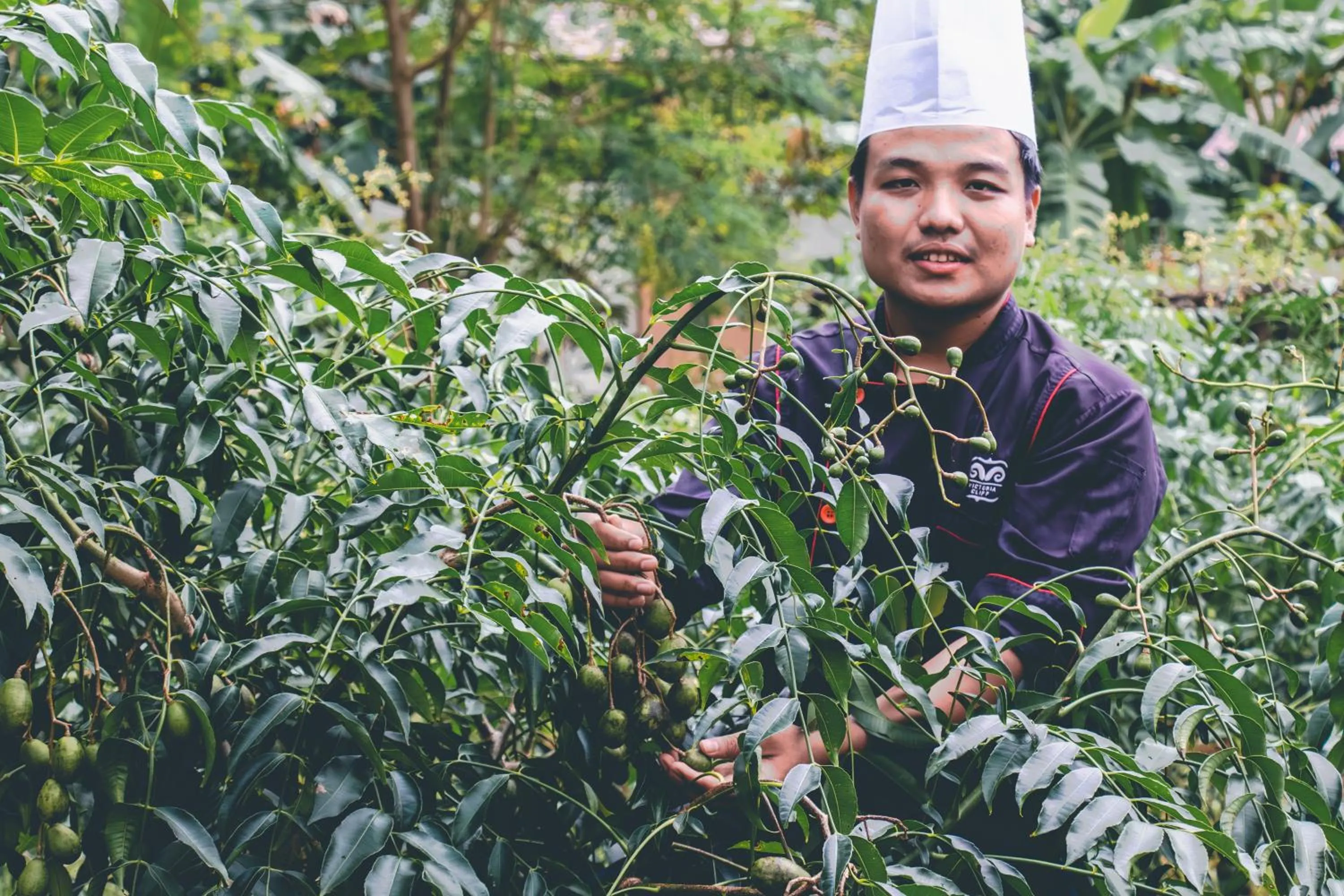 Day in Victoria Cliff Hotel & Resort, Kawthaung