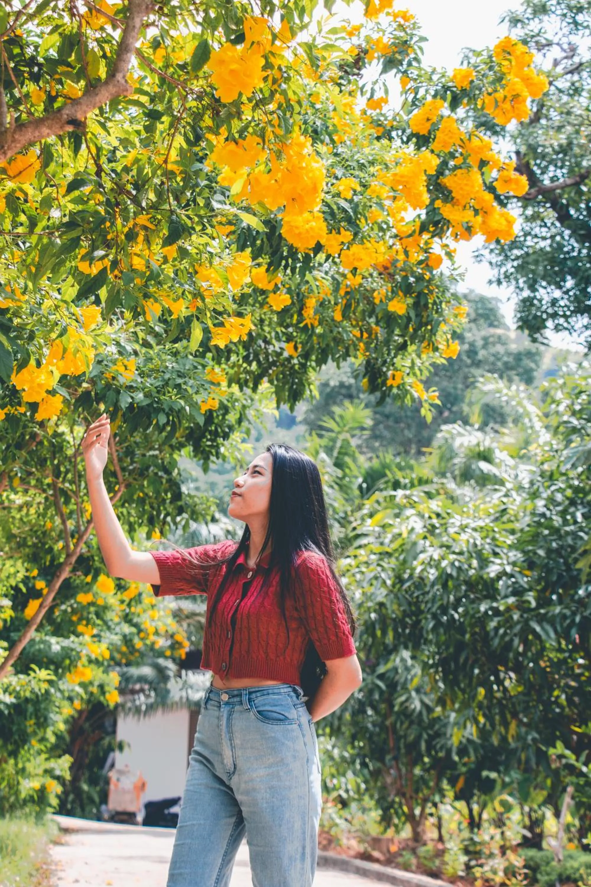 Spring in Victoria Cliff Hotel & Resort, Kawthaung