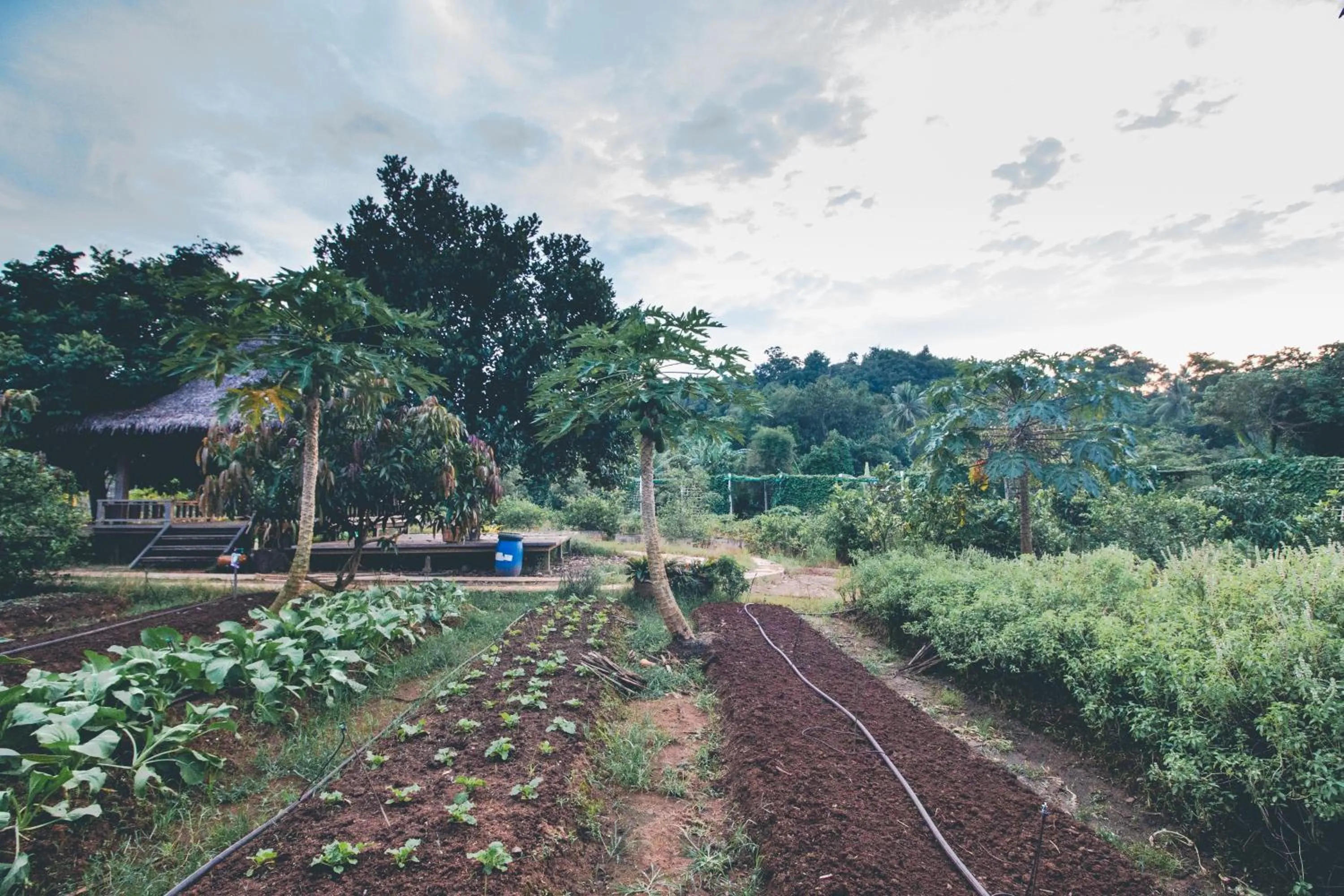 Day in Victoria Cliff Hotel & Resort, Kawthaung